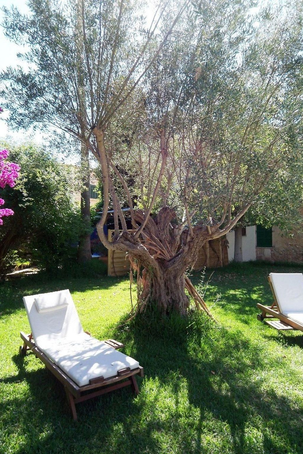 Can Mavi 02-Image-tags.info