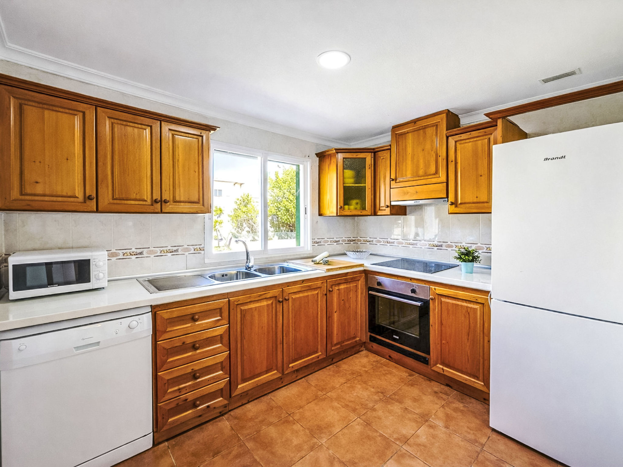 Photo of Can Delfin Alcudia