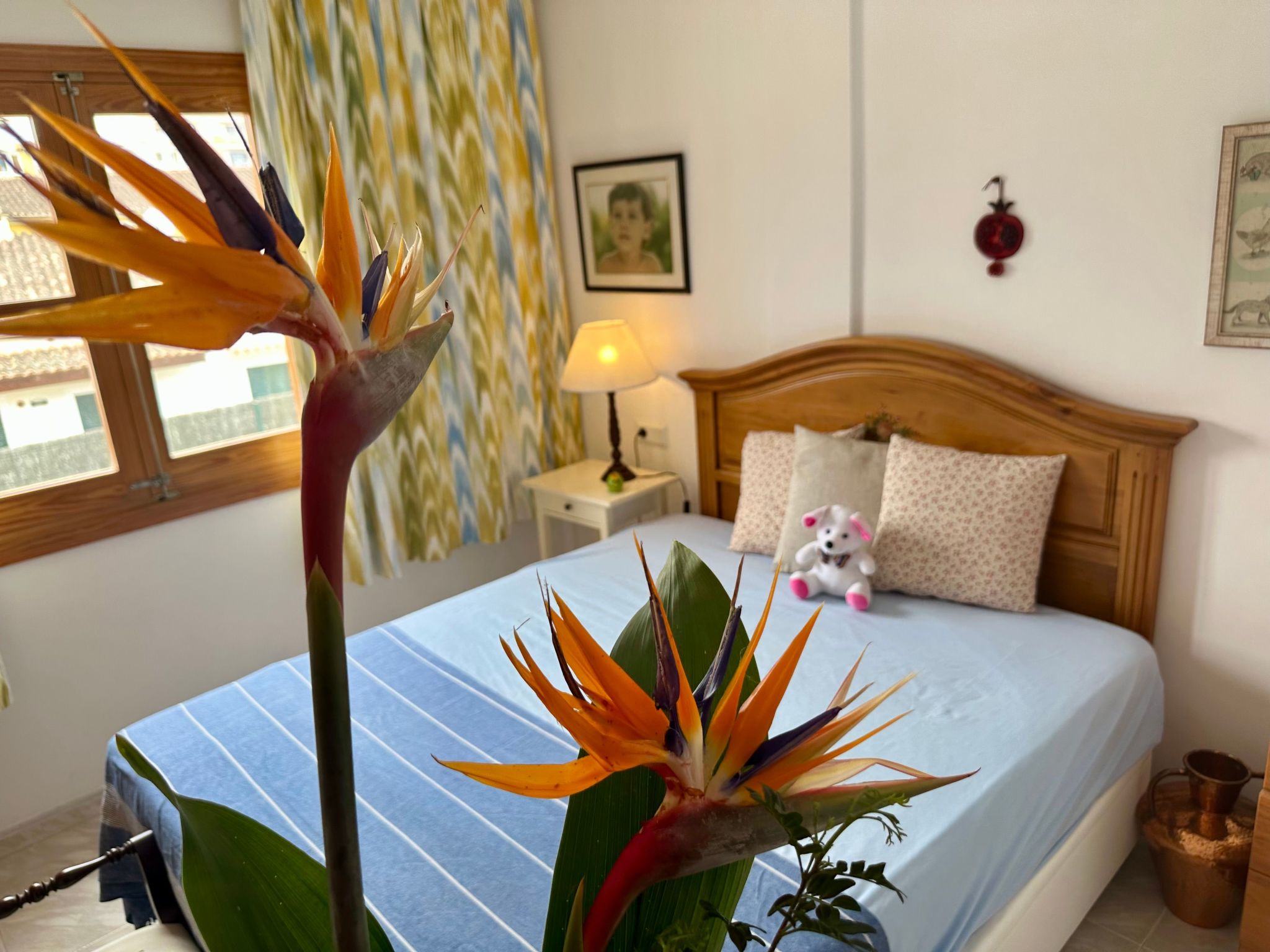 Wohnung Lovely Playa de Alcudia-Image-tags.info