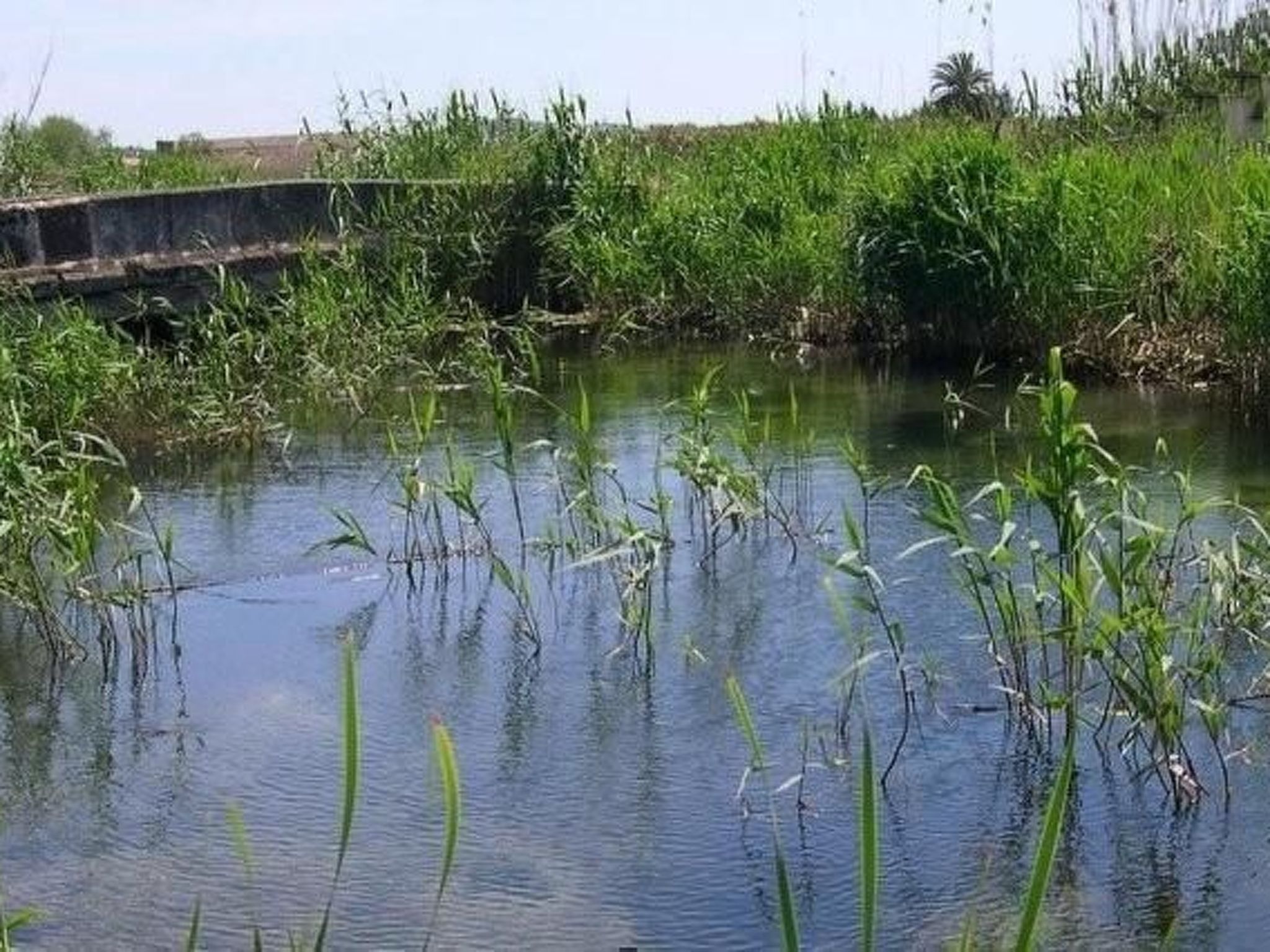 Photo of Villa "Estel" mit eigenem Schwimmbad