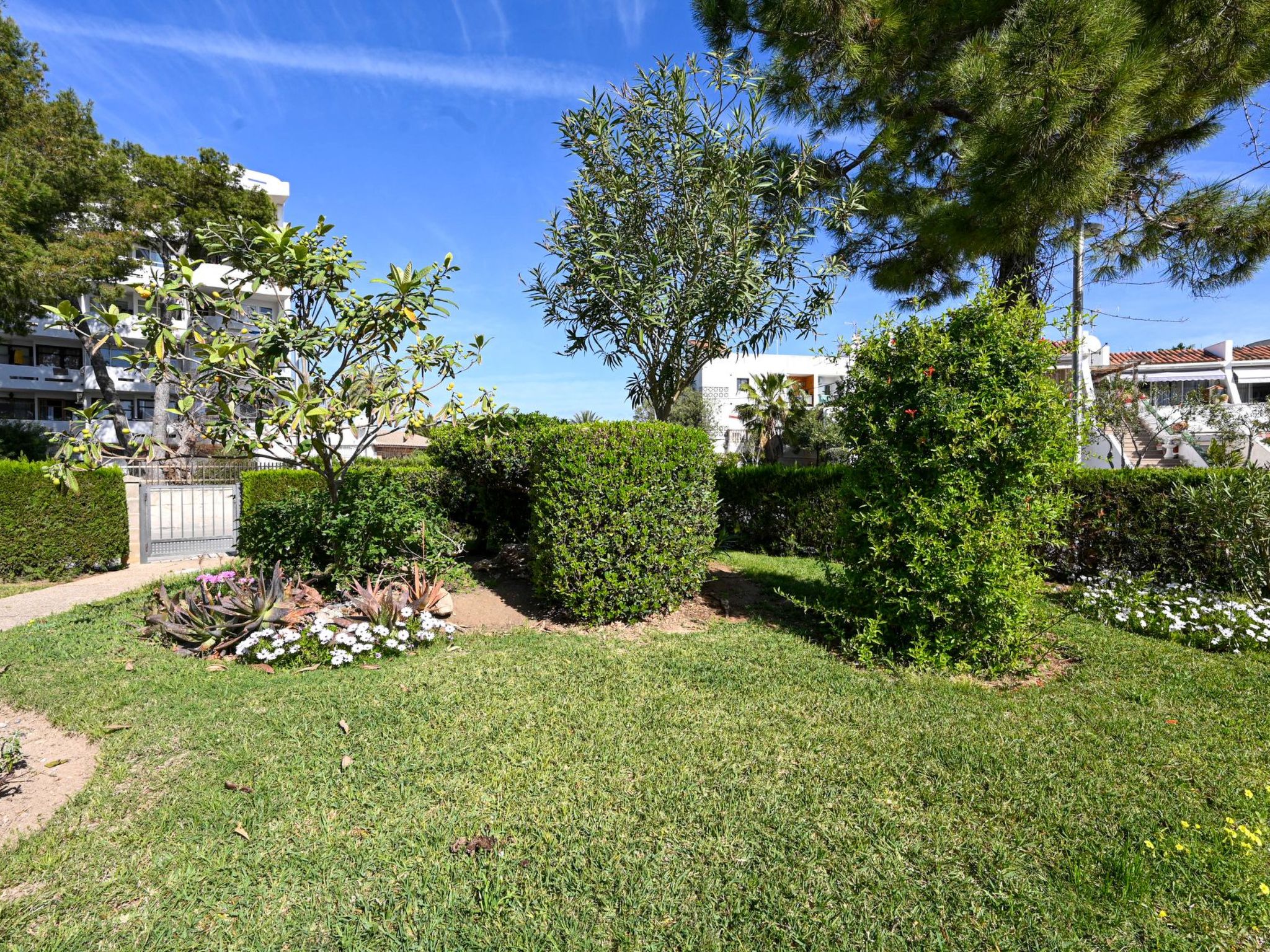 Mar de Plata in Alcúdia nur 5 Minuten vom Strand-Binnen