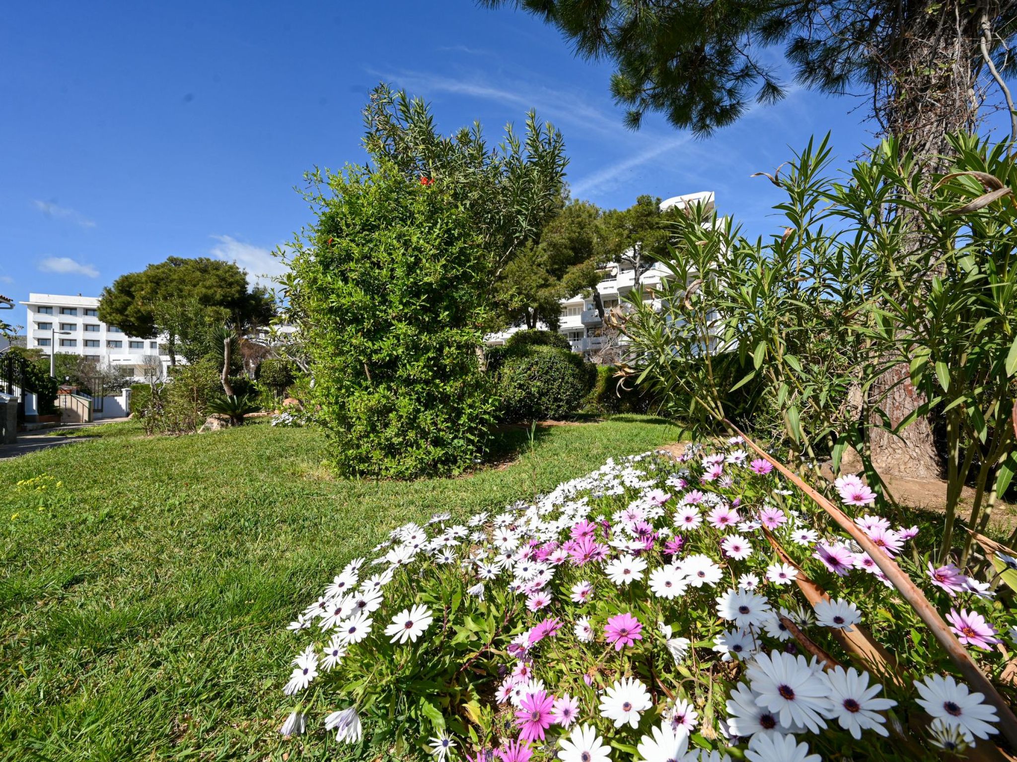 Mar de Plata in Alcúdia nur 5 Minuten vom Strand-Binnen