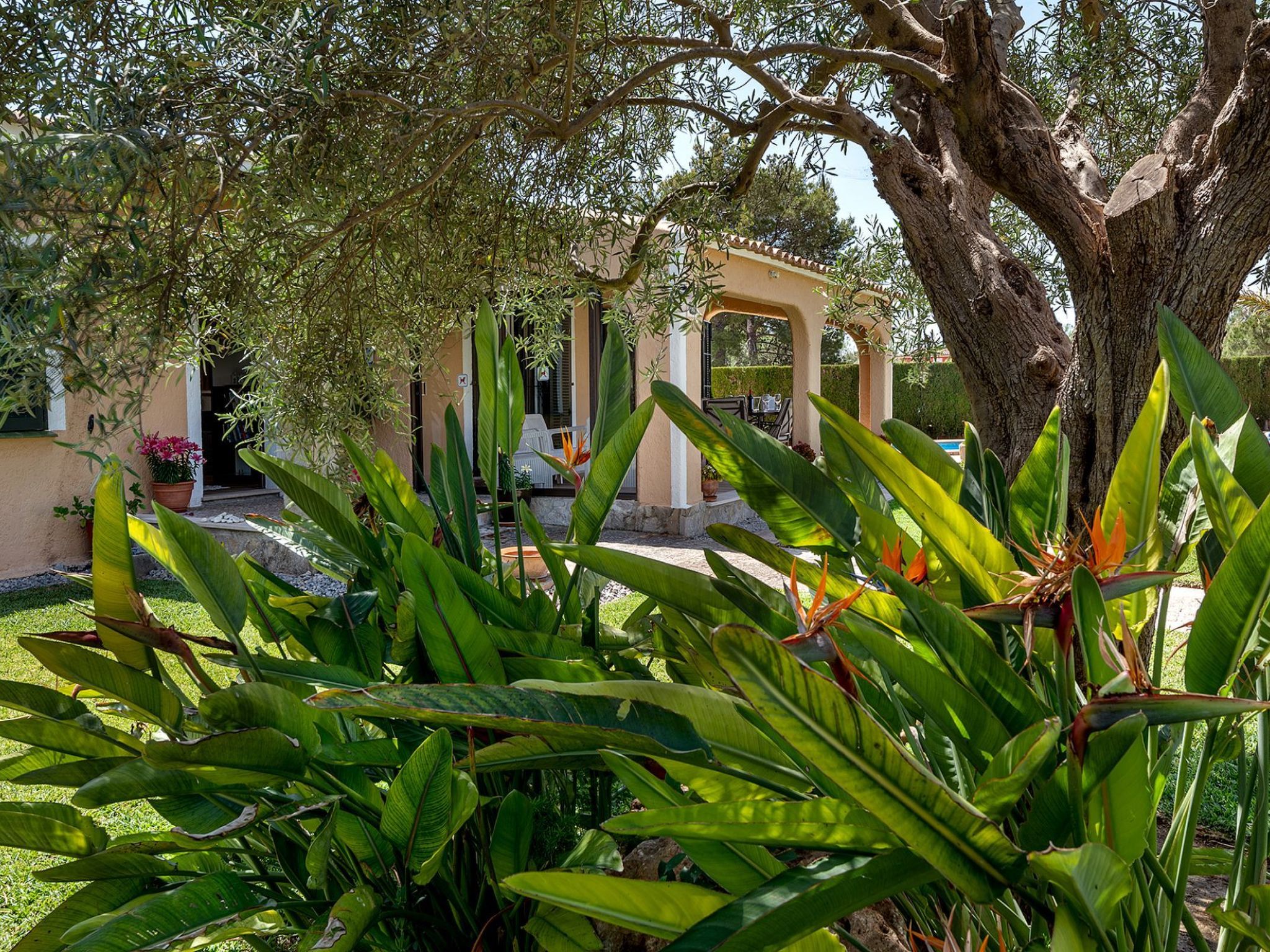 Serene Villa Rückzug mit Seeblick, Strand in der Nähe-Image-tags.info