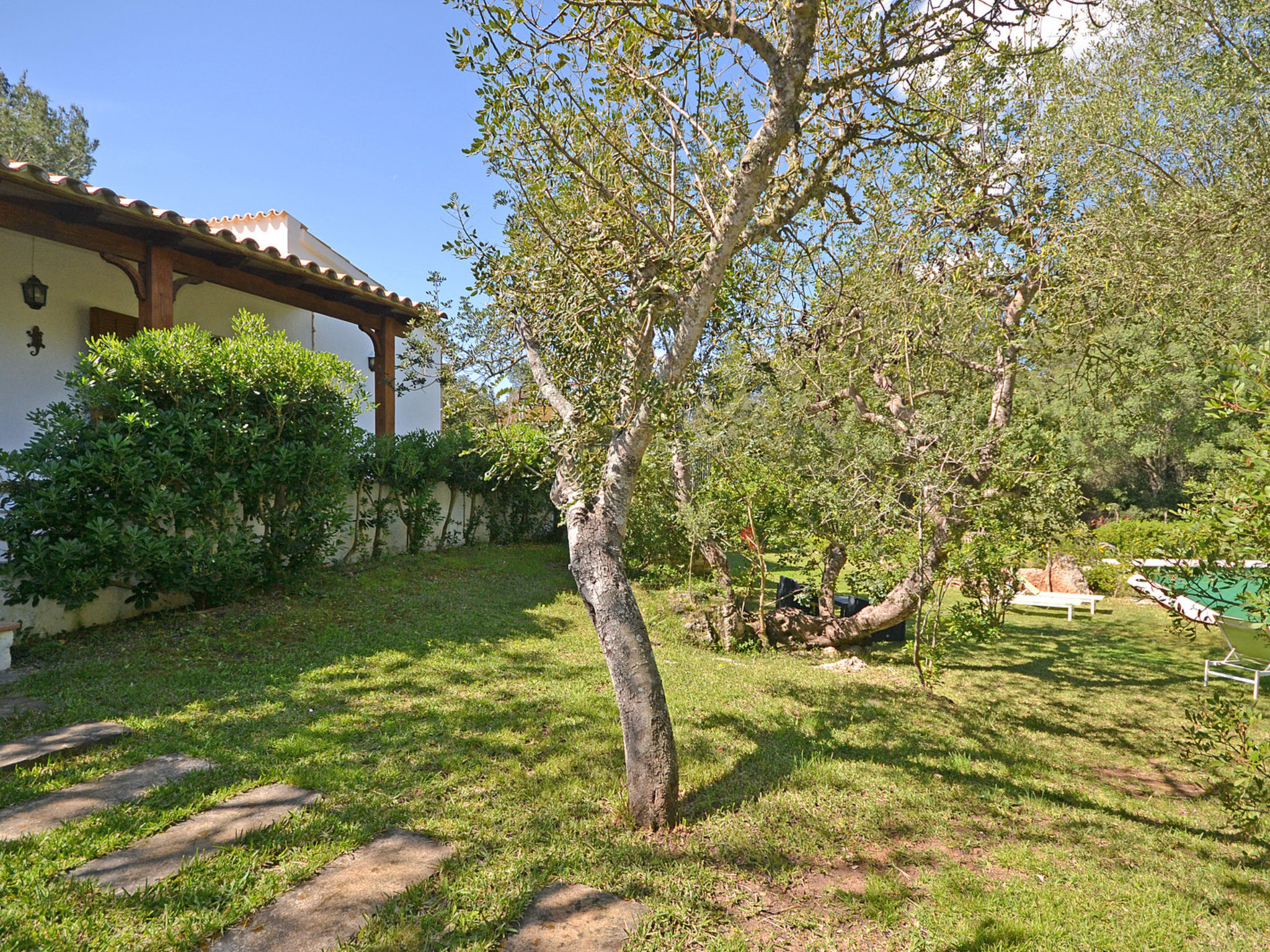 Photo of Spiros &quot-Camp Roig&quot-