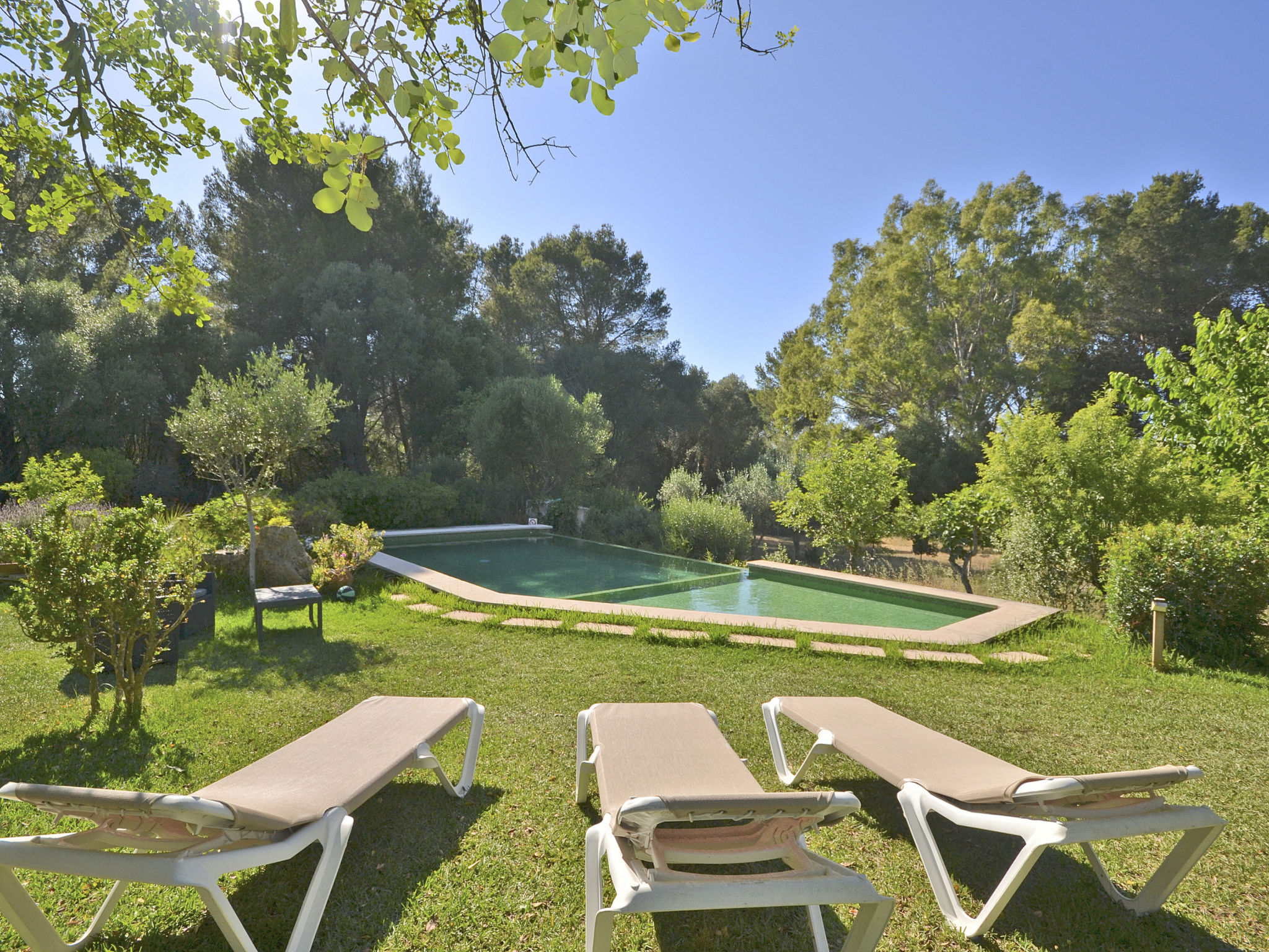 Photo of Spiros &quot-Camp Roig&quot-