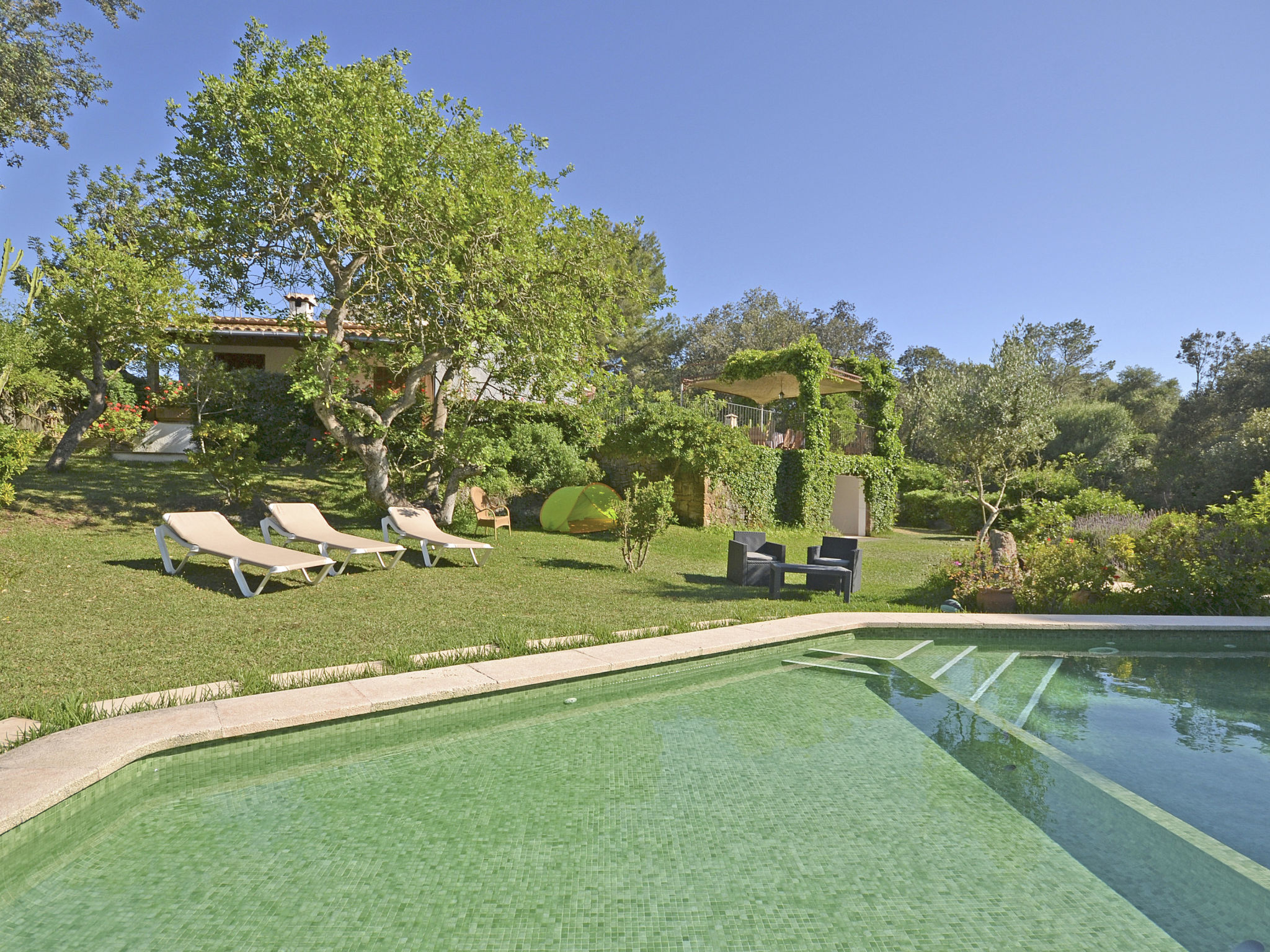 Photo of Spiros &quot-Camp Roig&quot-