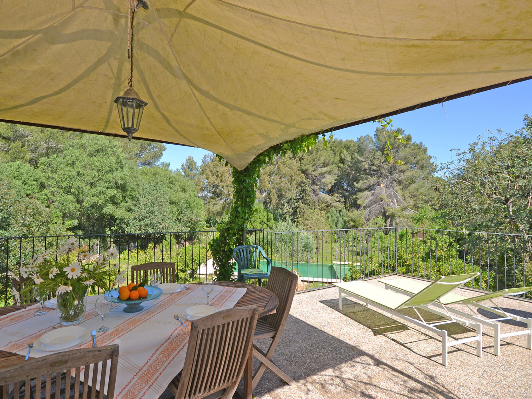 Photo of Spiros &quot-Camp Roig&quot-