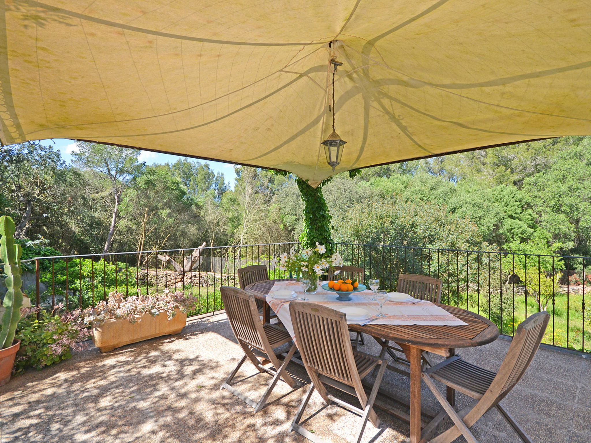 Photo of Spiros &quot-Camp Roig&quot-