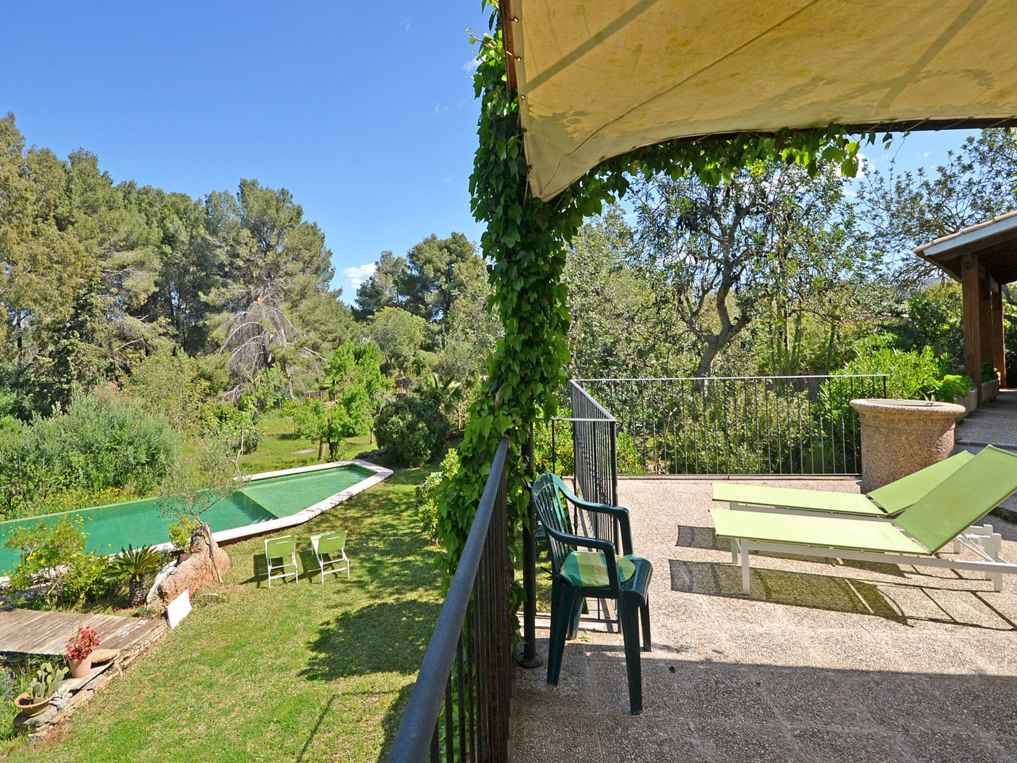 Photo of Spiros &quot-Camp Roig&quot-