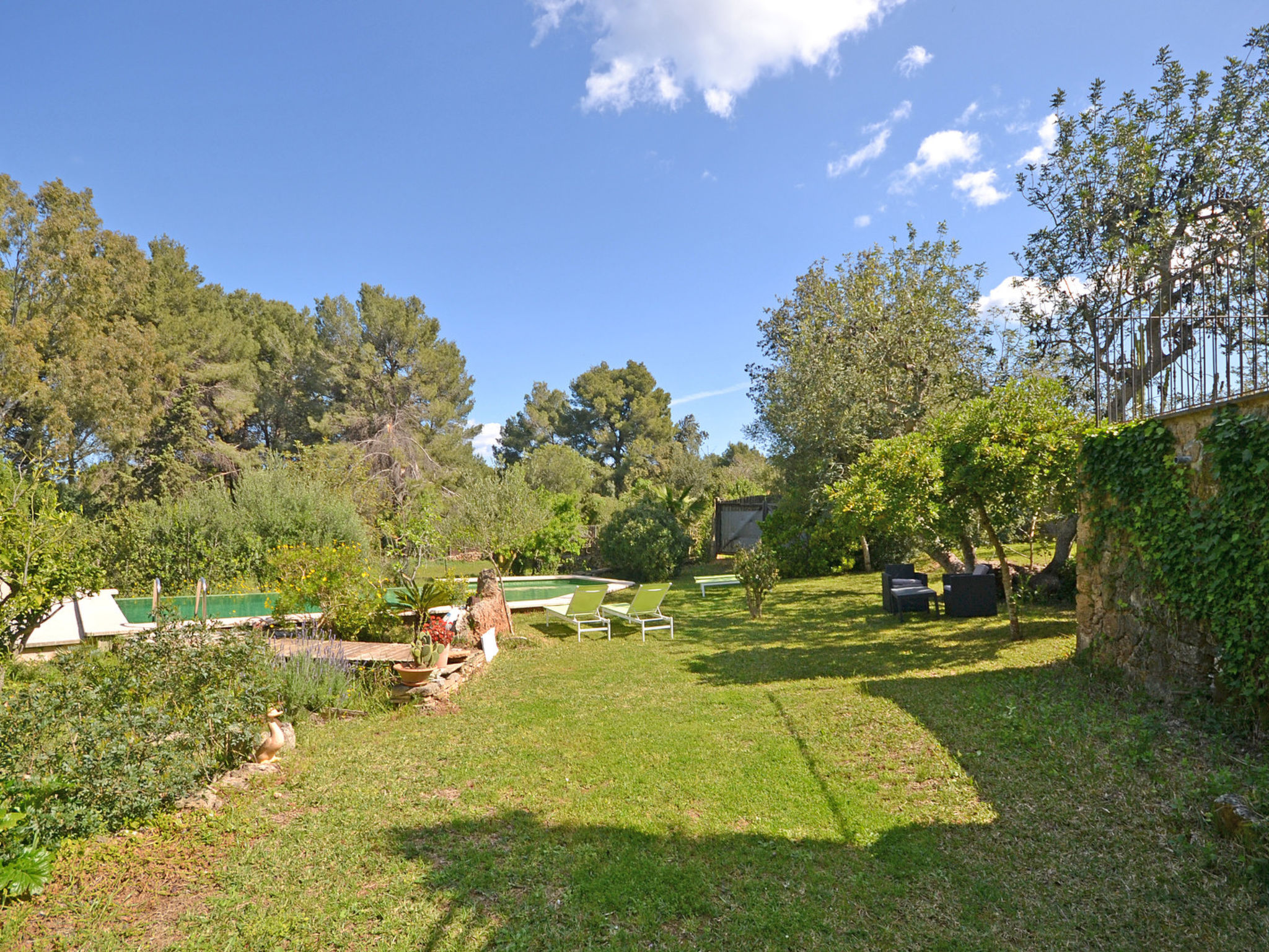 Photo of Spiros &quot-Camp Roig&quot-