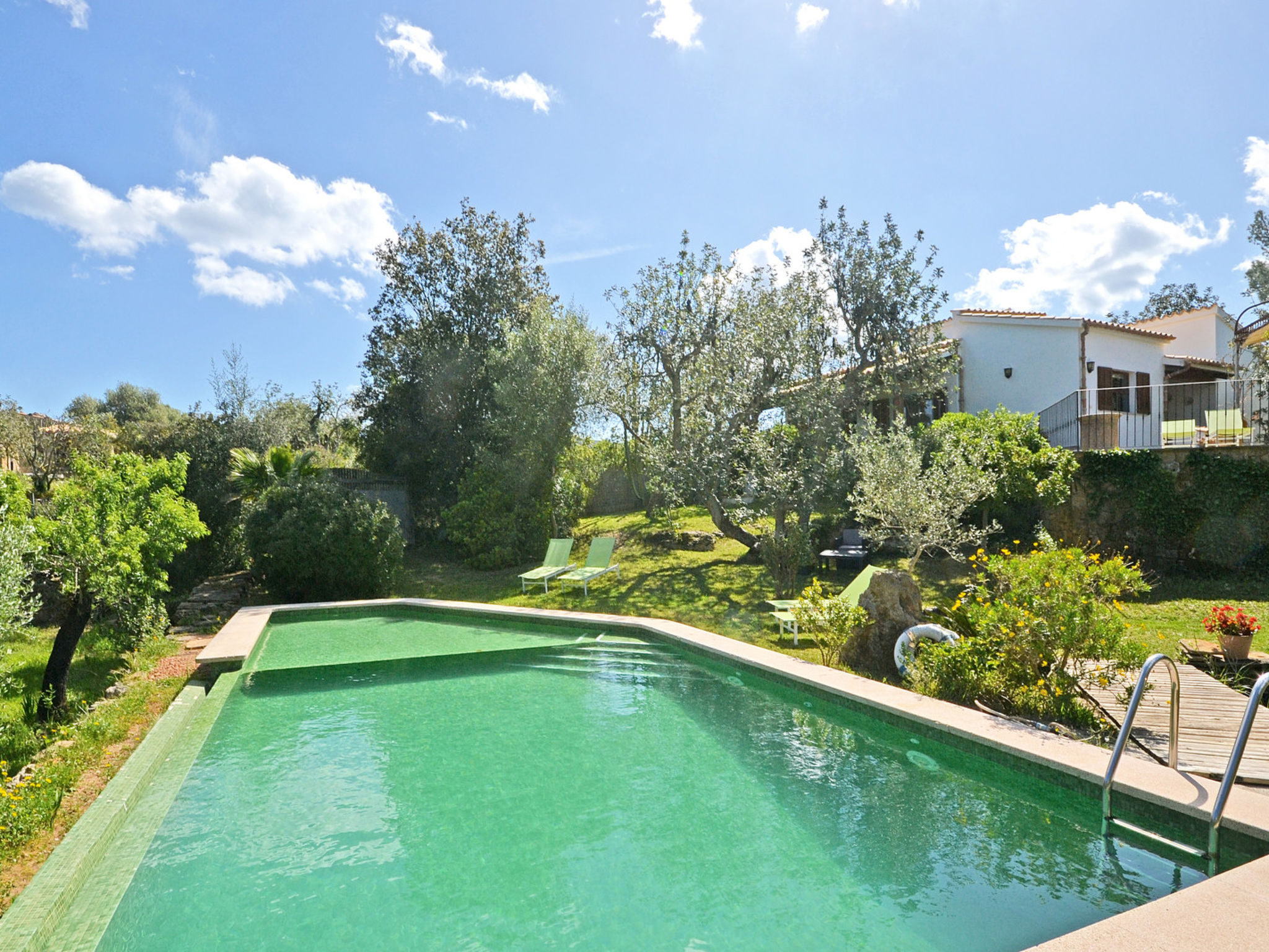 Photo of Spiros &quot-Camp Roig&quot-