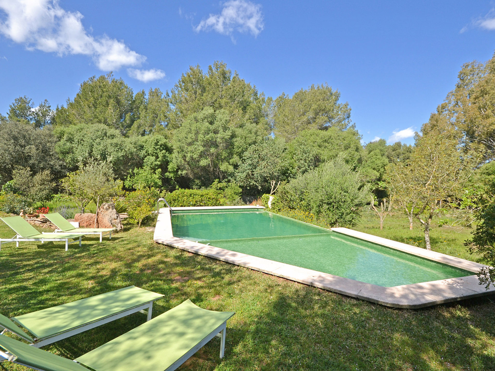 Photo of Spiros &quot-Camp Roig&quot-