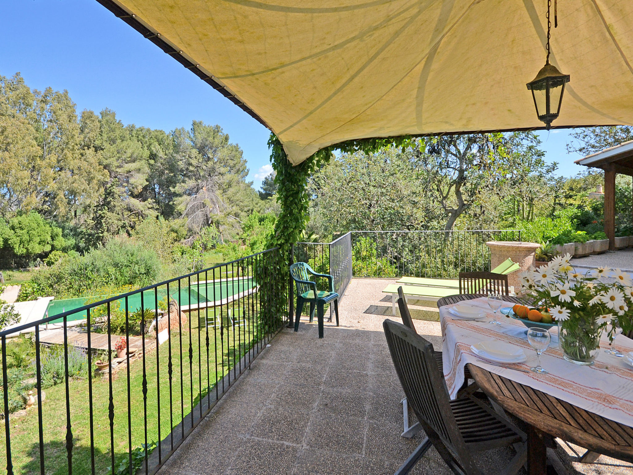 Photo of Spiros &quot-Camp Roig&quot-