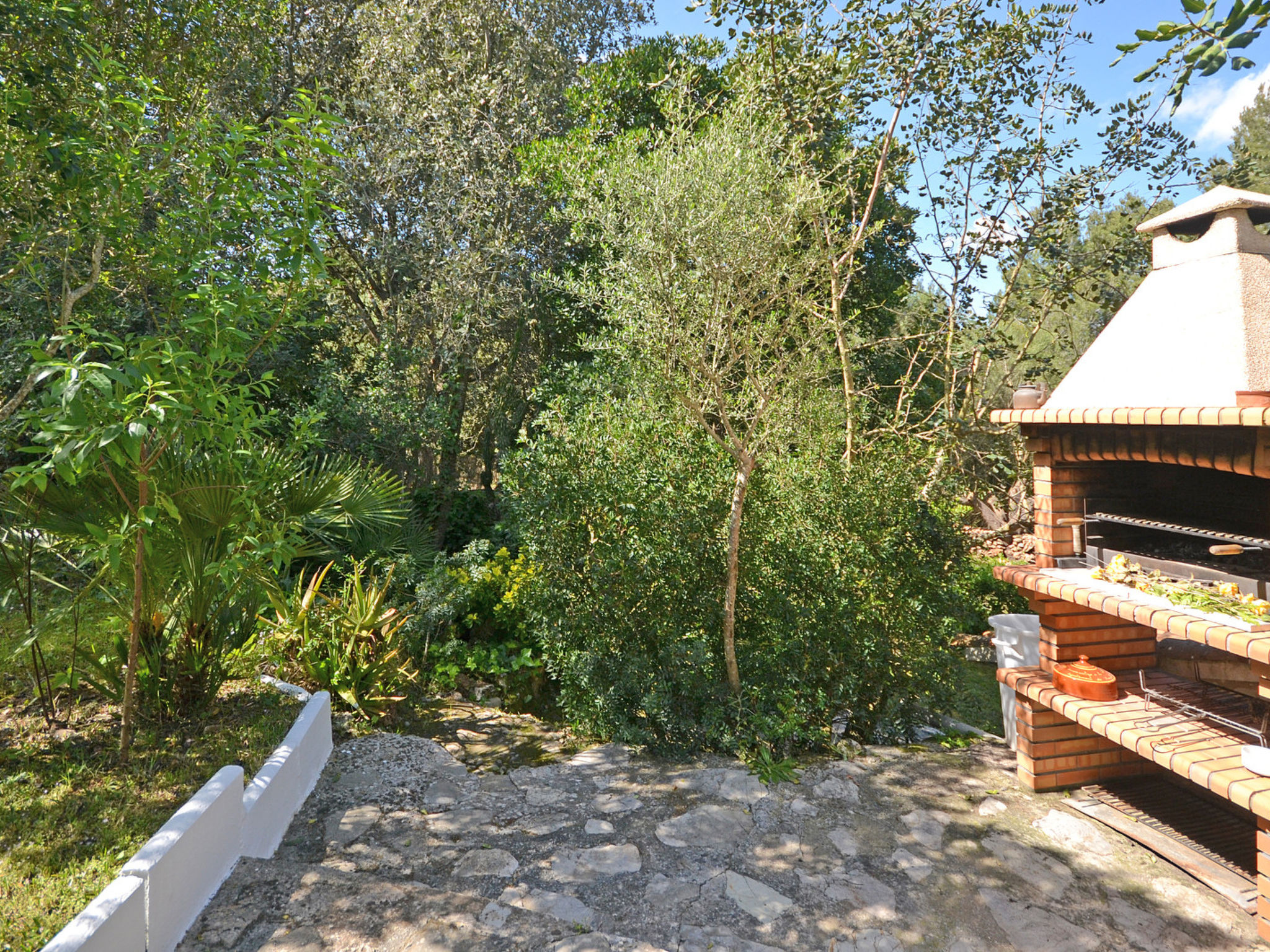 Photo of Spiros &quot-Camp Roig&quot-