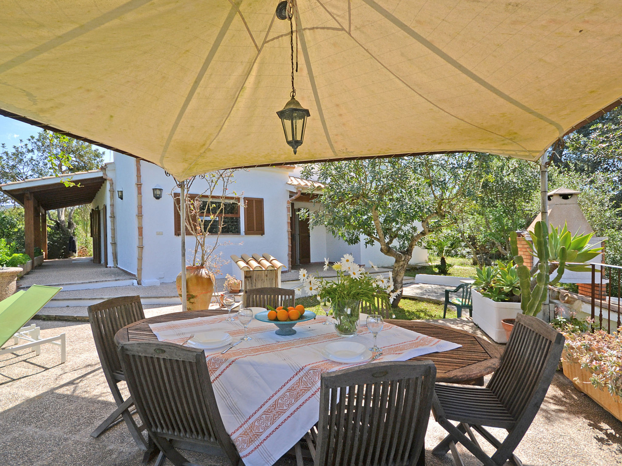 Photo of Spiros &quot-Camp Roig&quot-