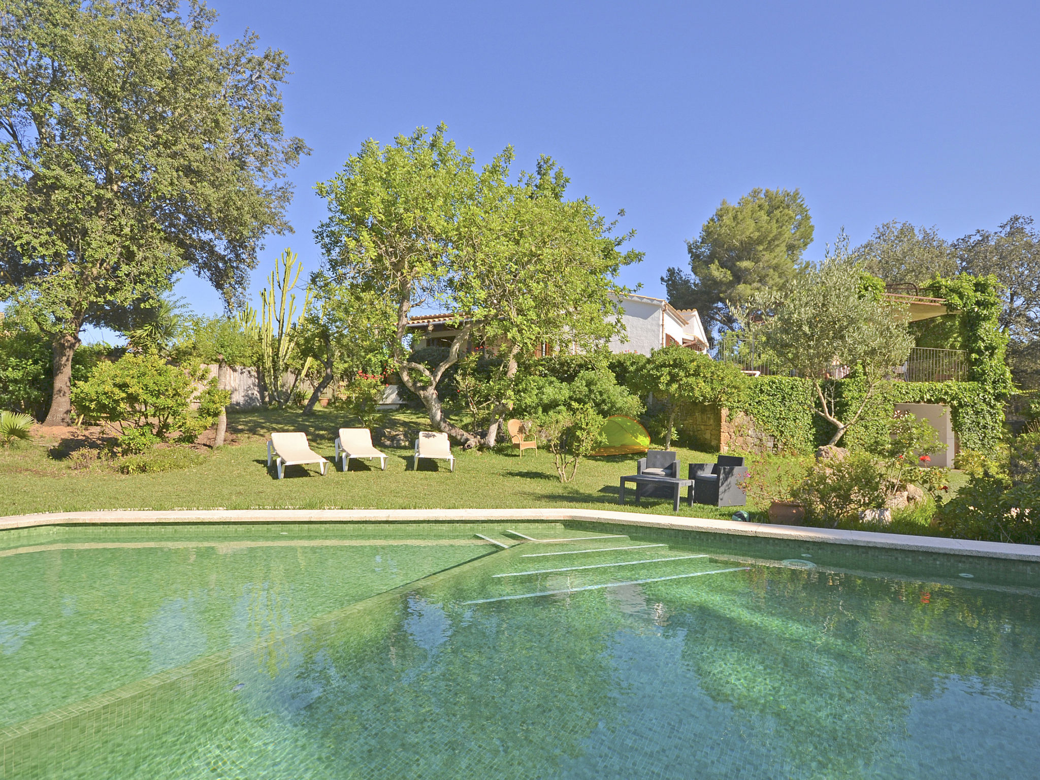 Photo of Spiros &quot-Camp Roig&quot-