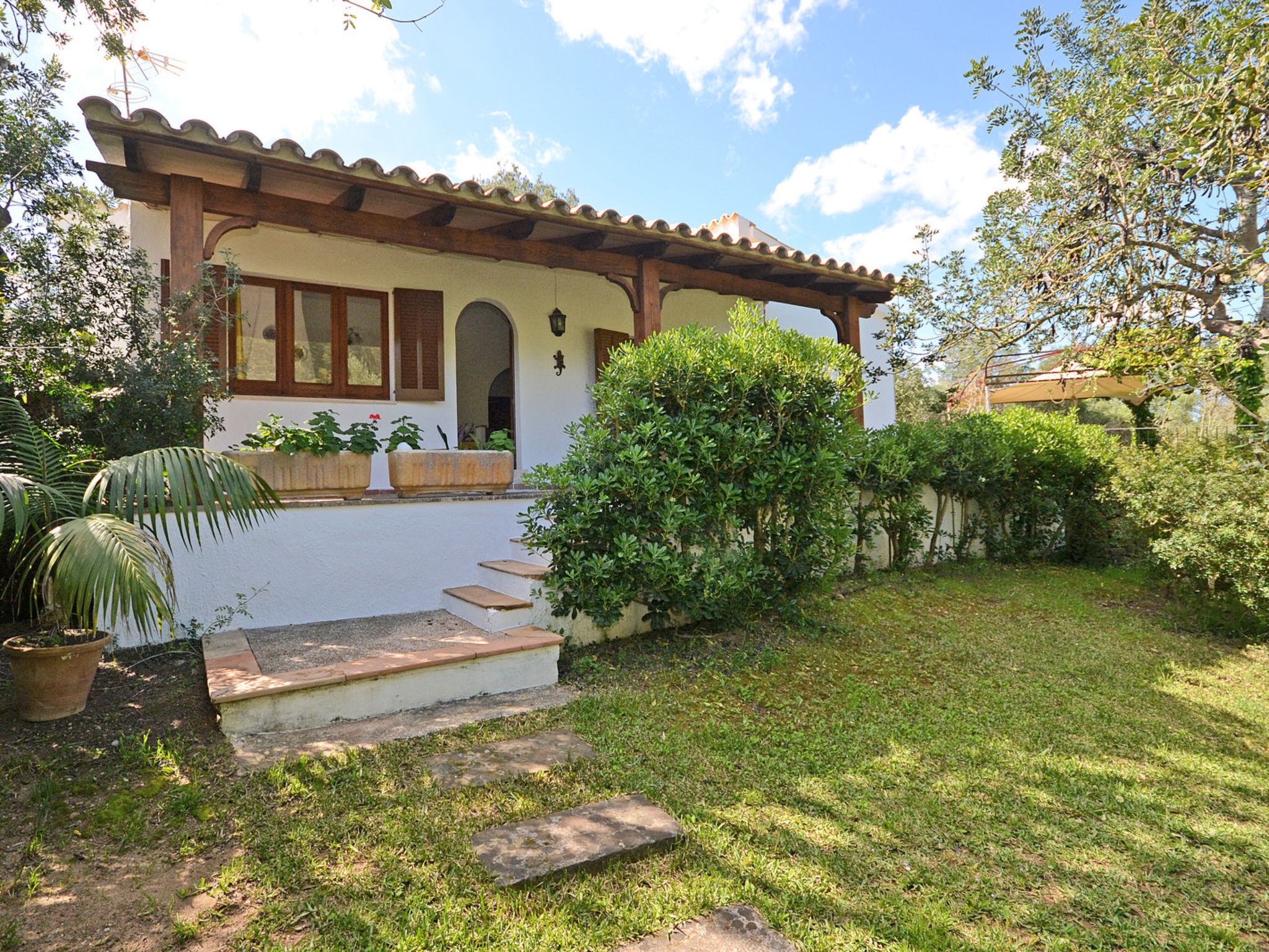 Photo of Spiros &quot-Camp Roig&quot-