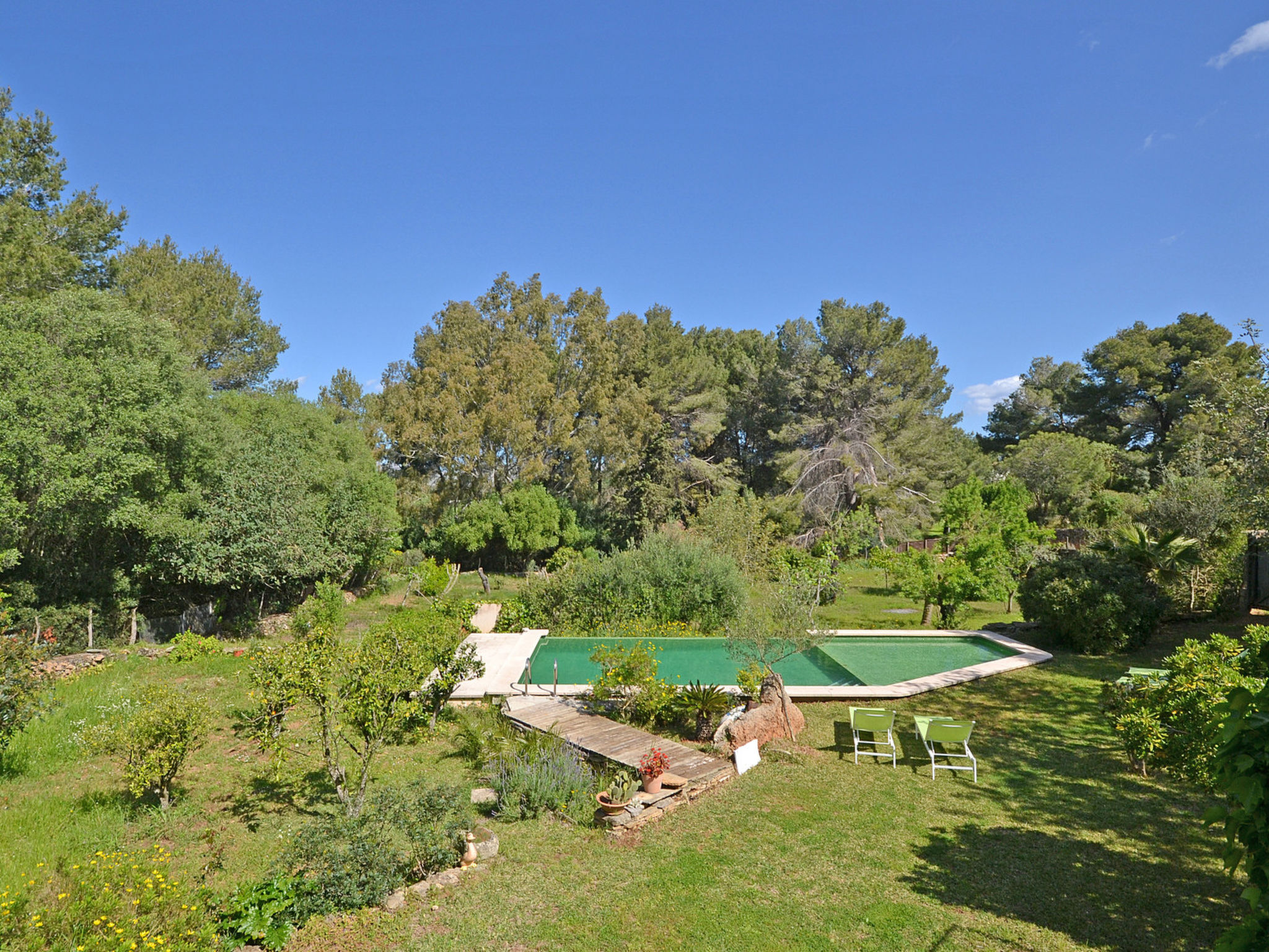 Photo of Spiros &quot-Camp Roig&quot-