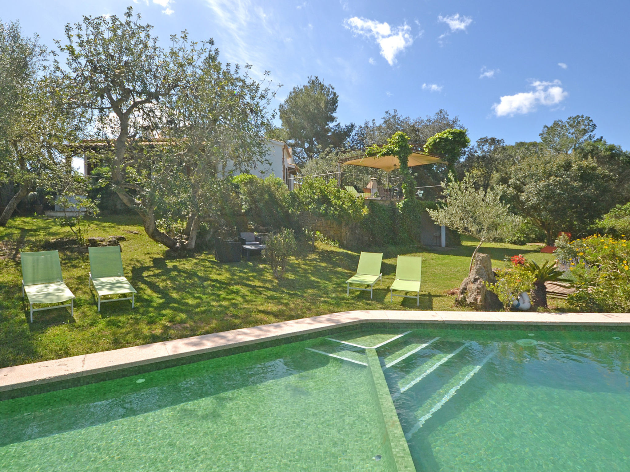 Photo of Spiros &quot-Camp Roig&quot-