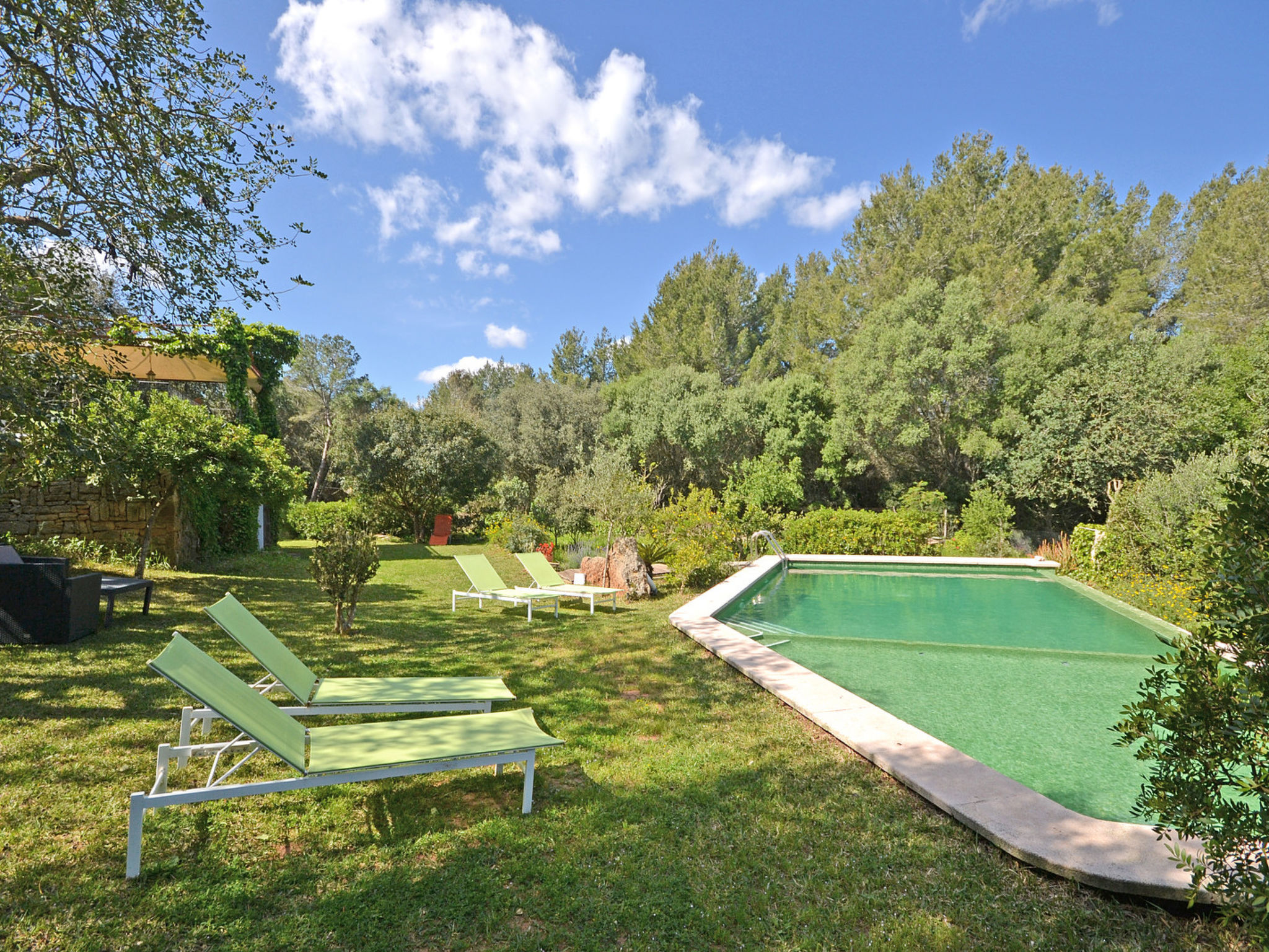 Photo of Spiros &quot-Camp Roig&quot-