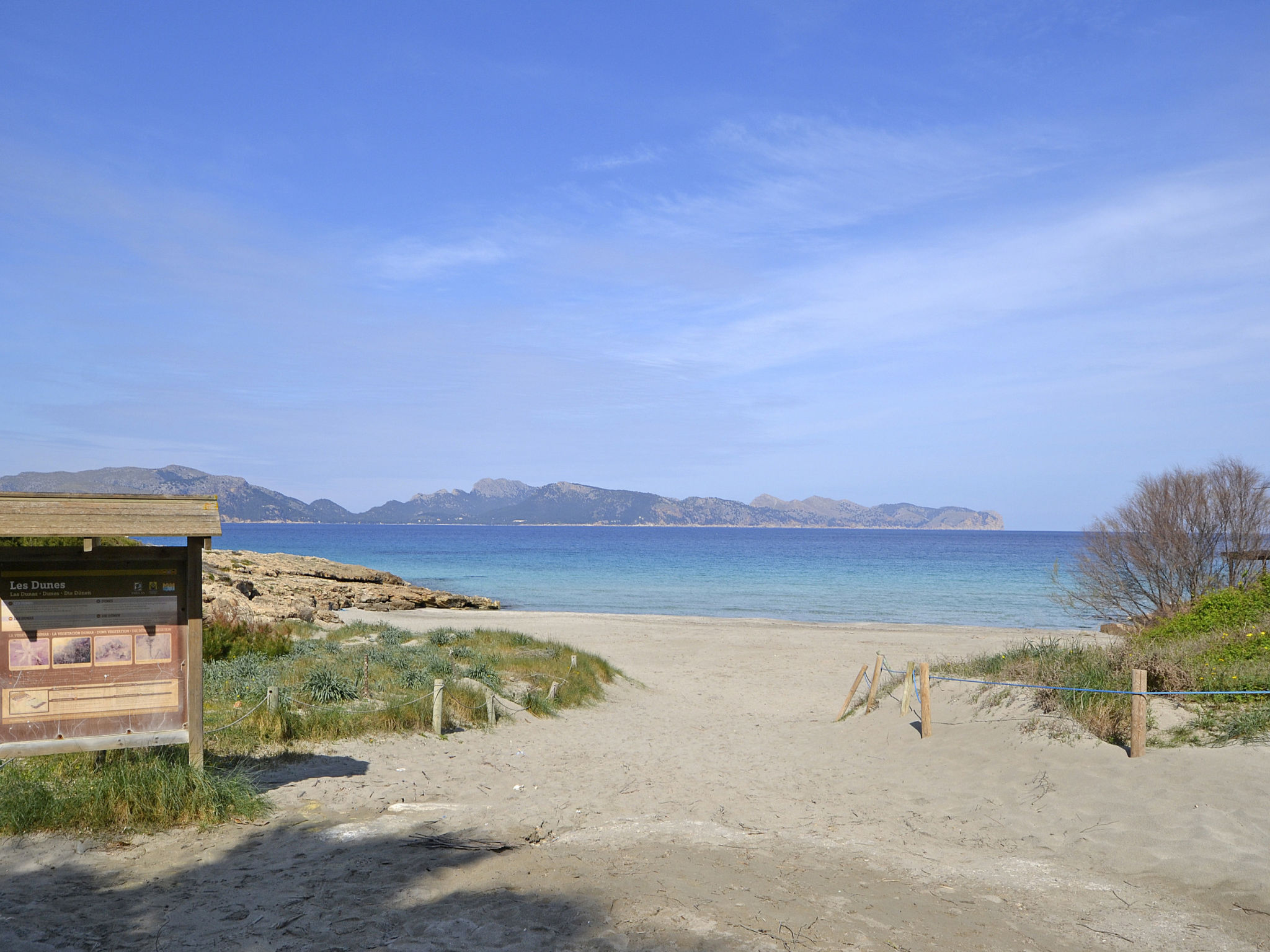 Teresa
