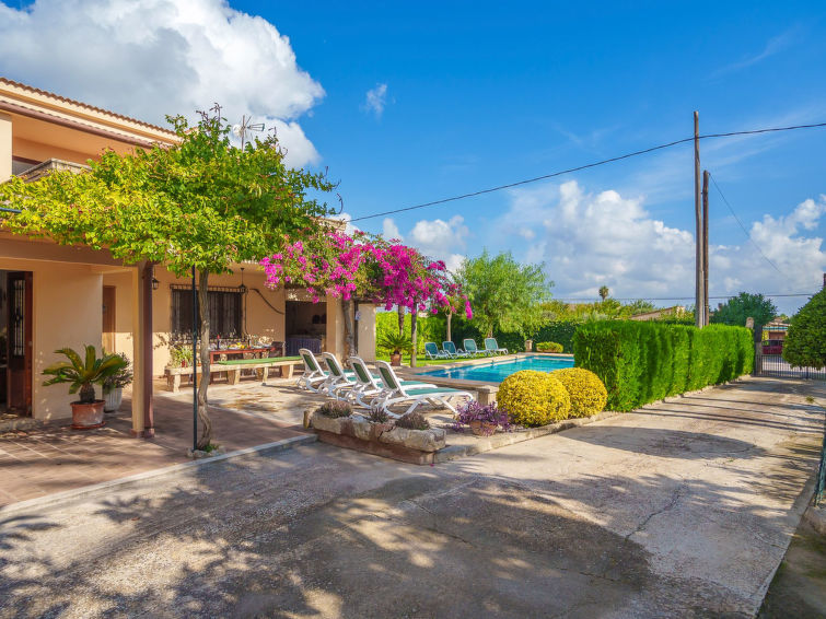 Photo of La Truyola Pool Finca