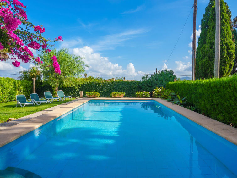 Photo of La Truyola Pool Finca