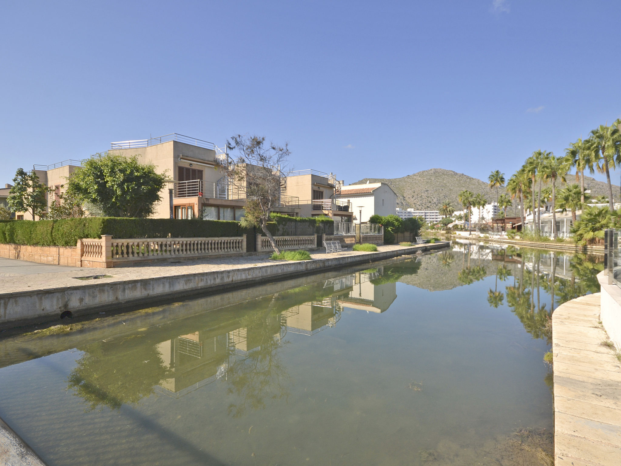 Photo of Amparo Luca