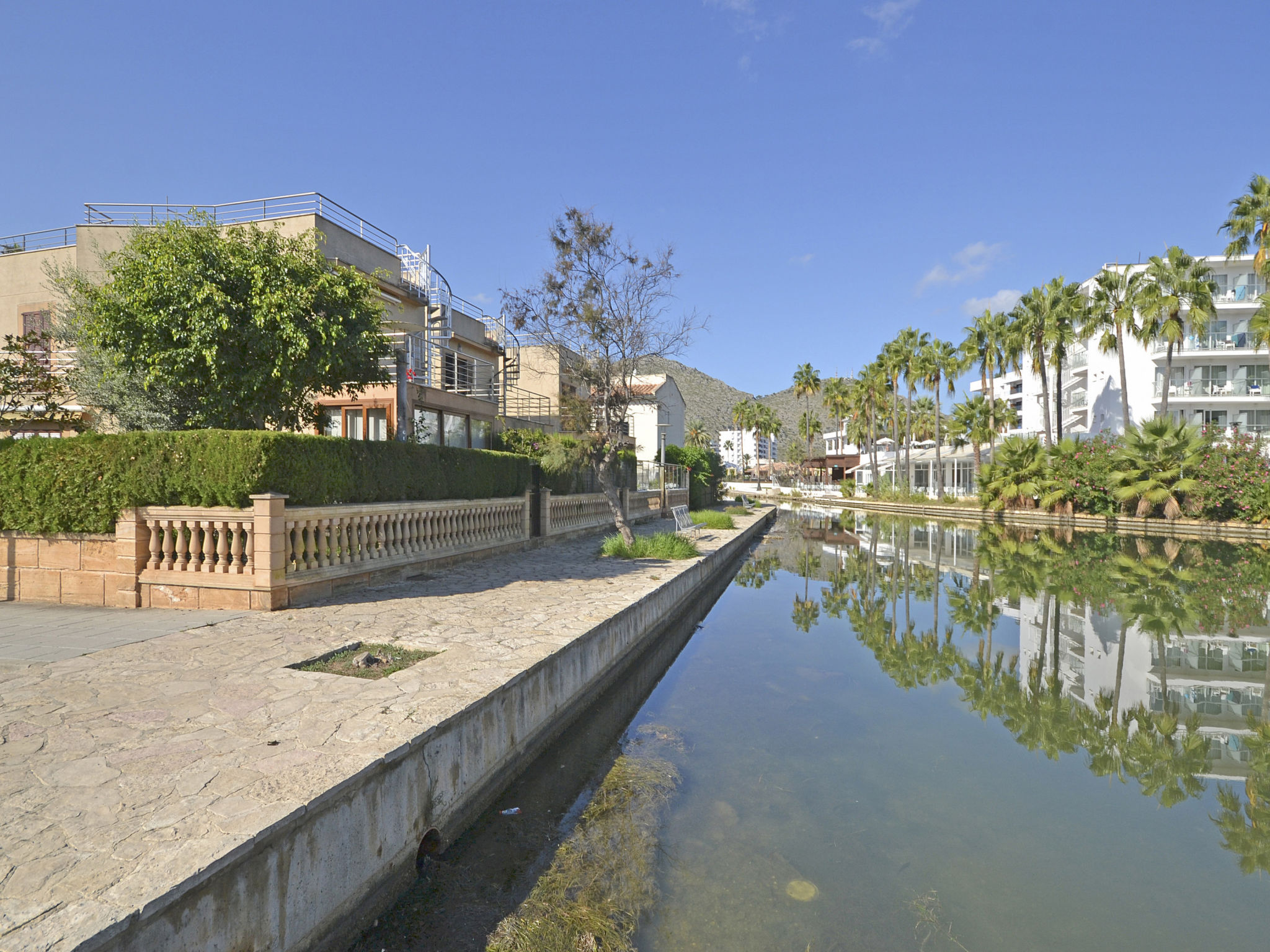 Photo of Amparo Luca