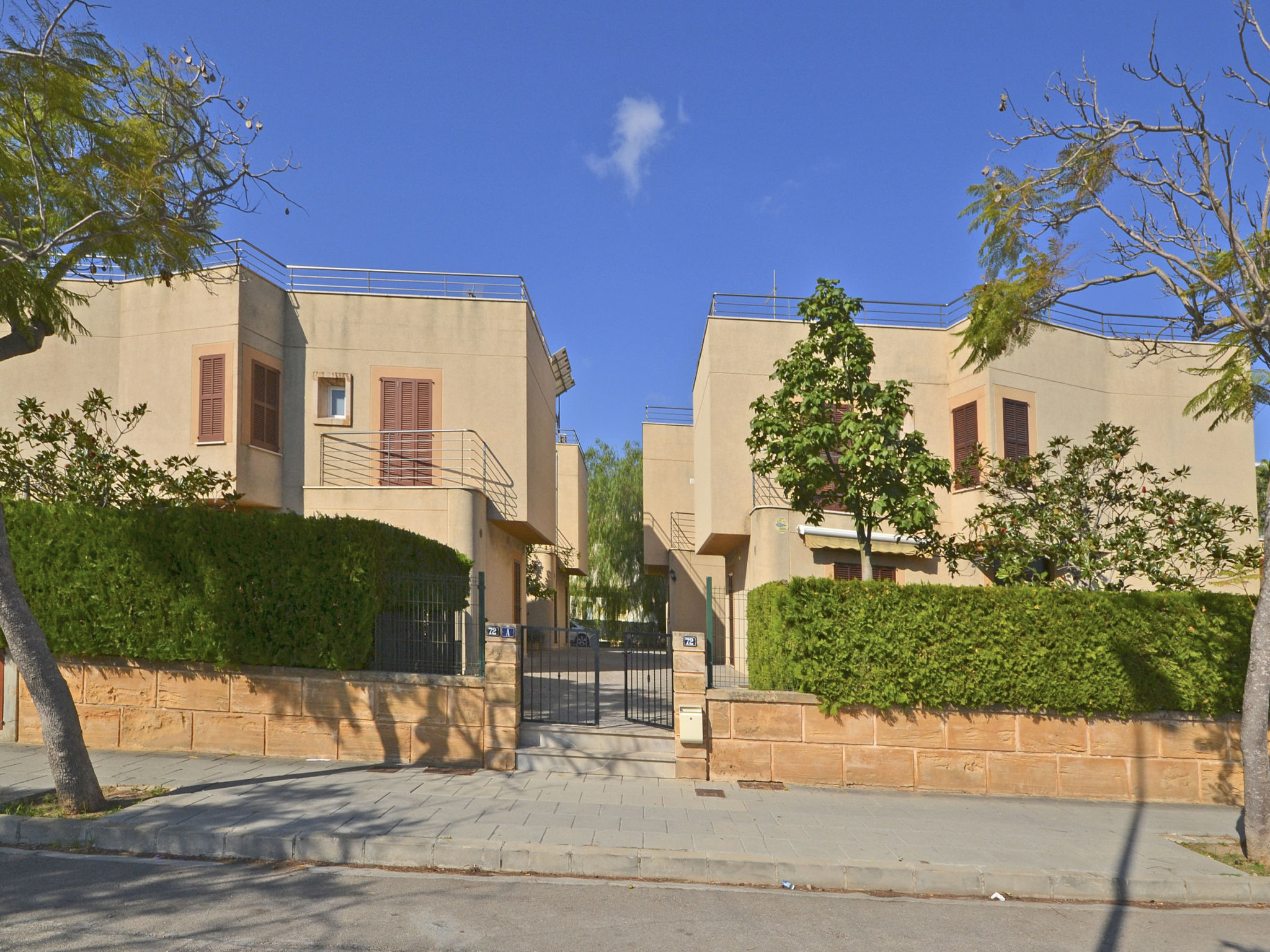 Photo of Amparo Luca