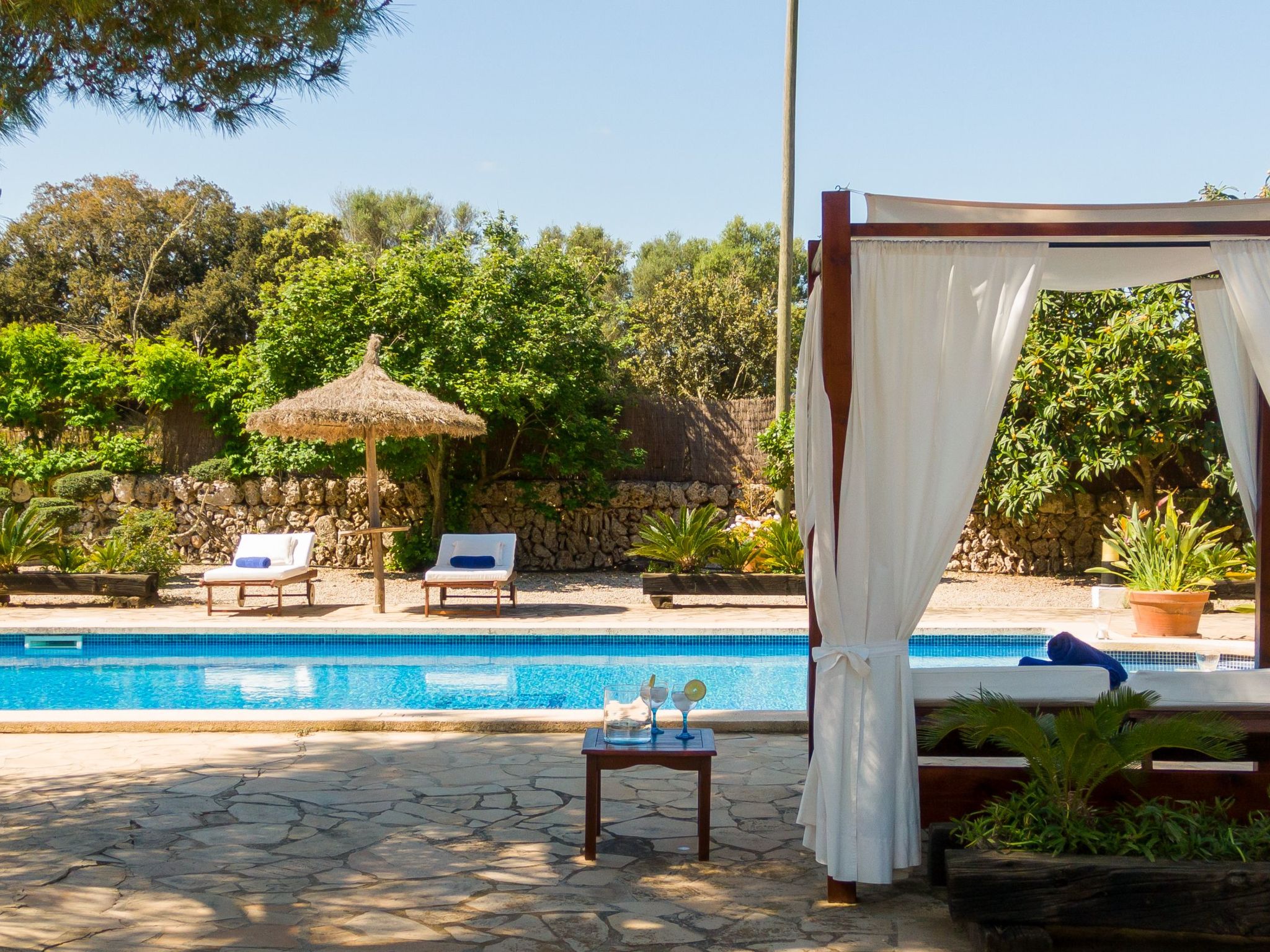 Mulet Llubi-Image-tags.info