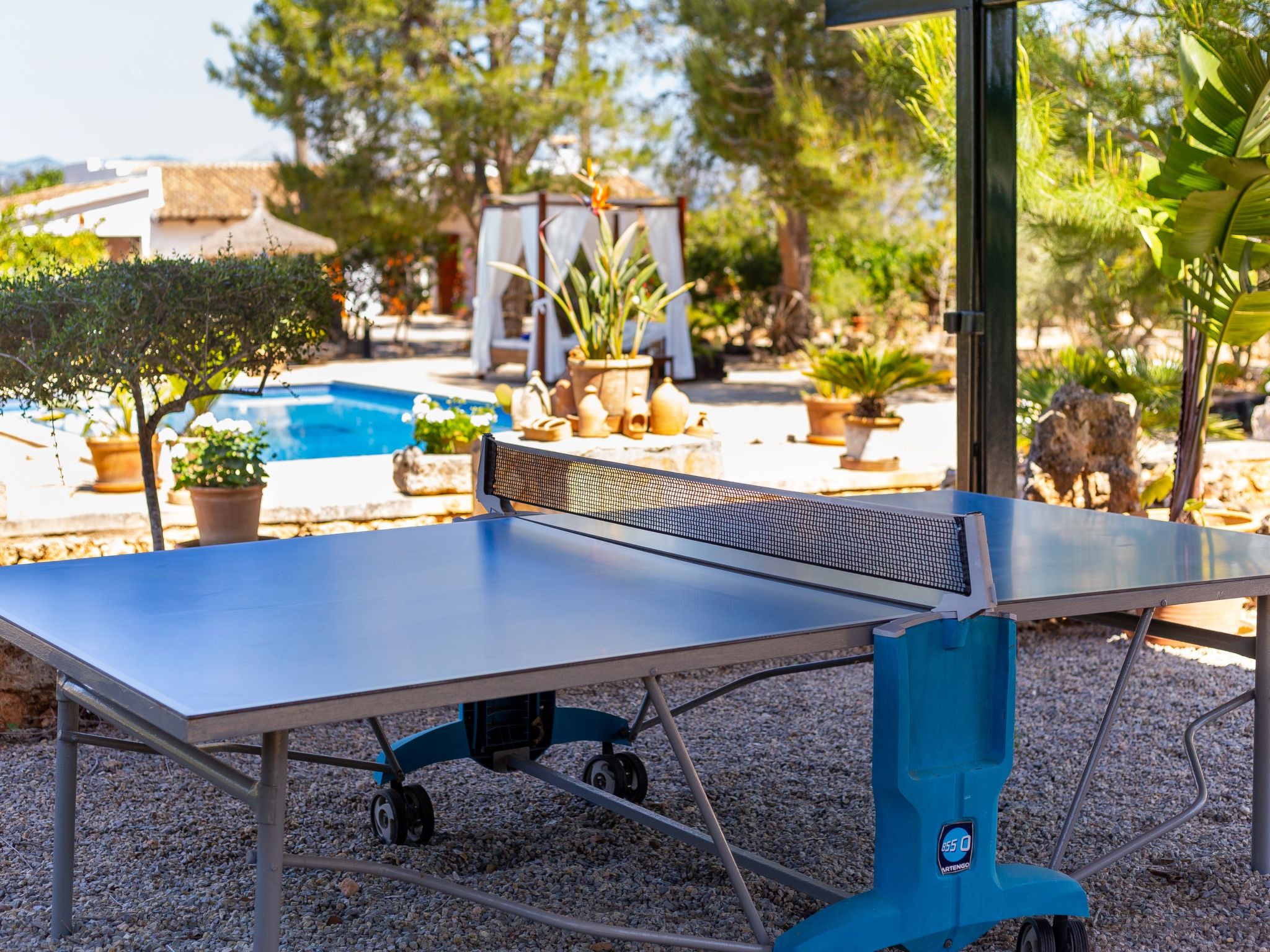 Mulet Llubi-Image-tags.info