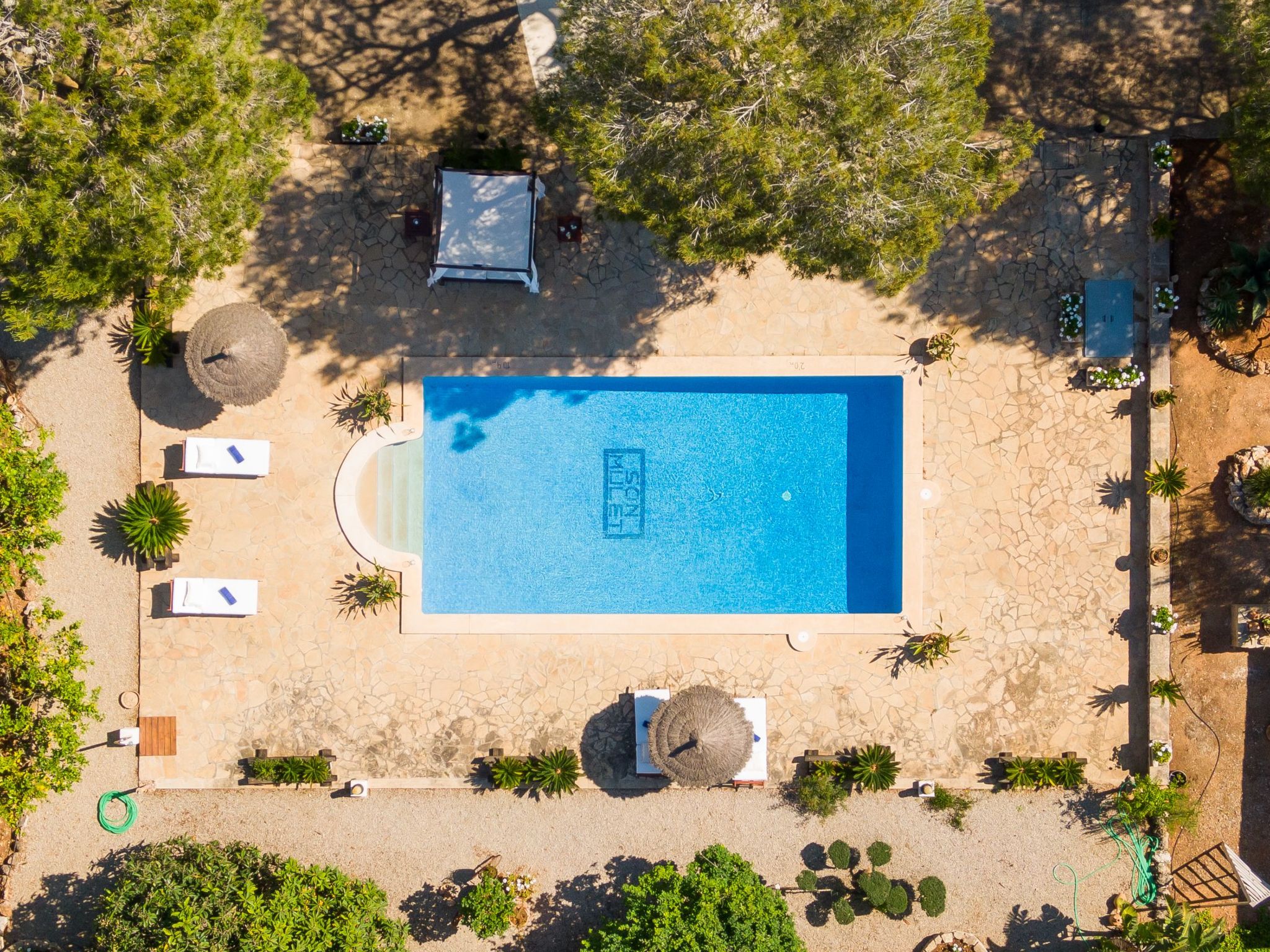 Mulet Llubi-Image-tags.info