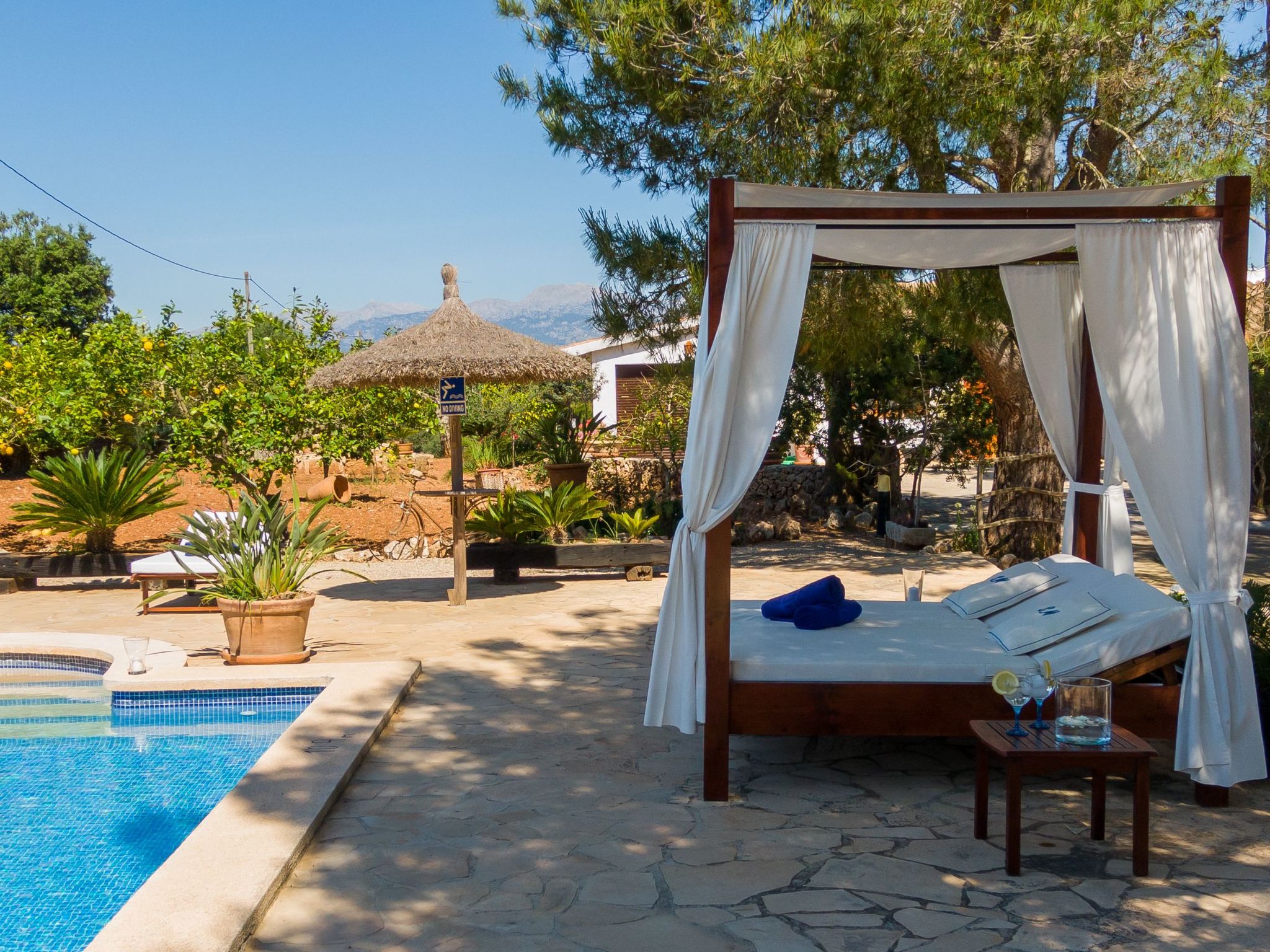 Mulet Llubi-Image-tags.info