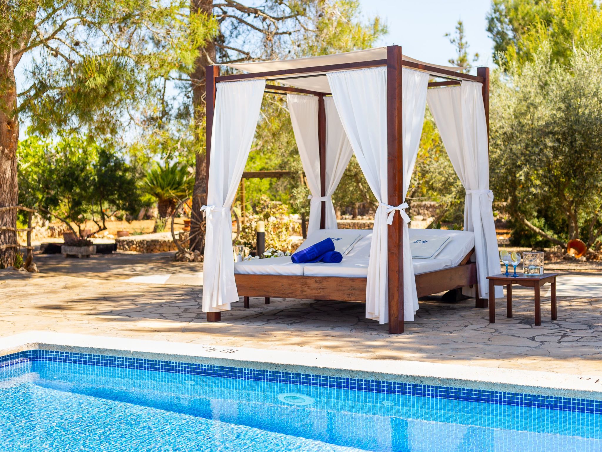 Mulet Llubi-Image-tags.info