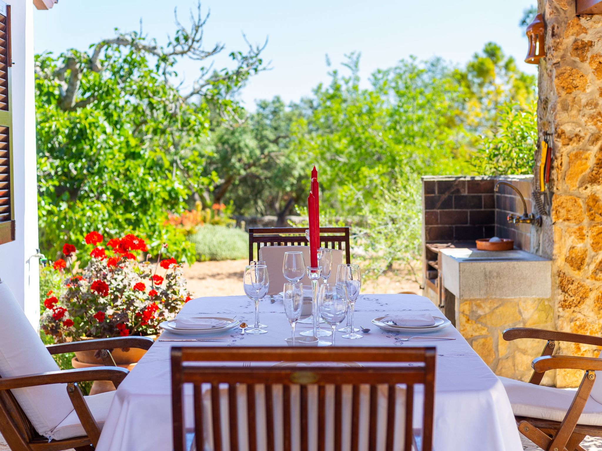 Mulet Llubi-Image-tags.info