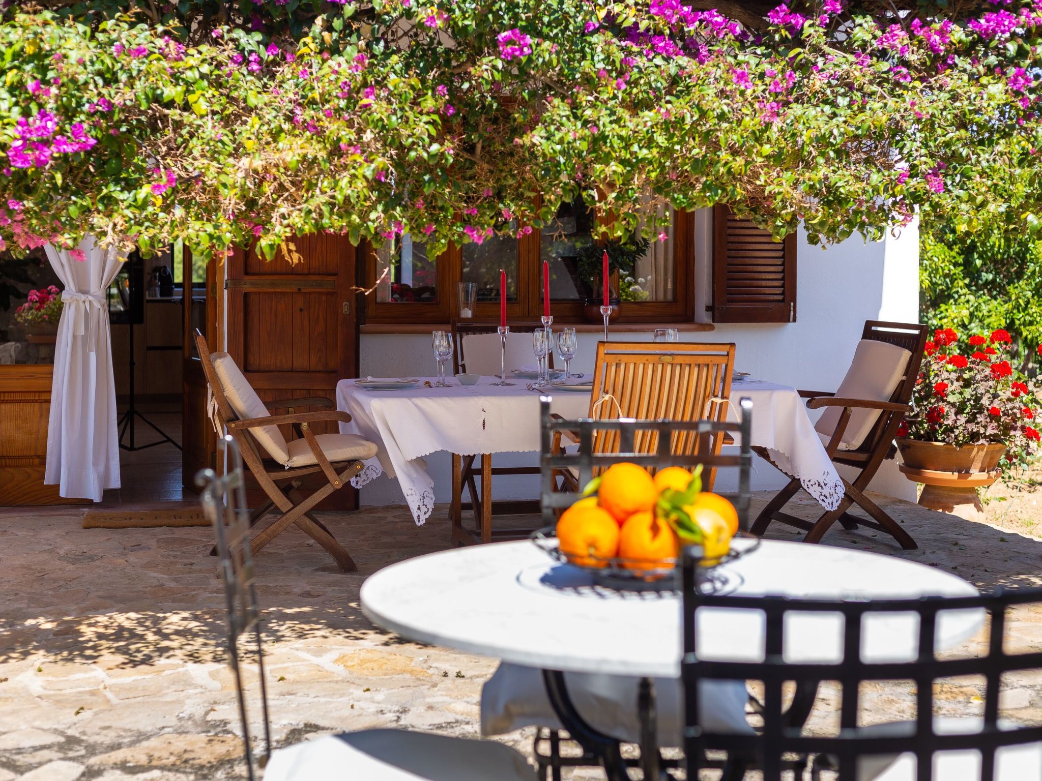 Mulet Llubi-Image-tags.info