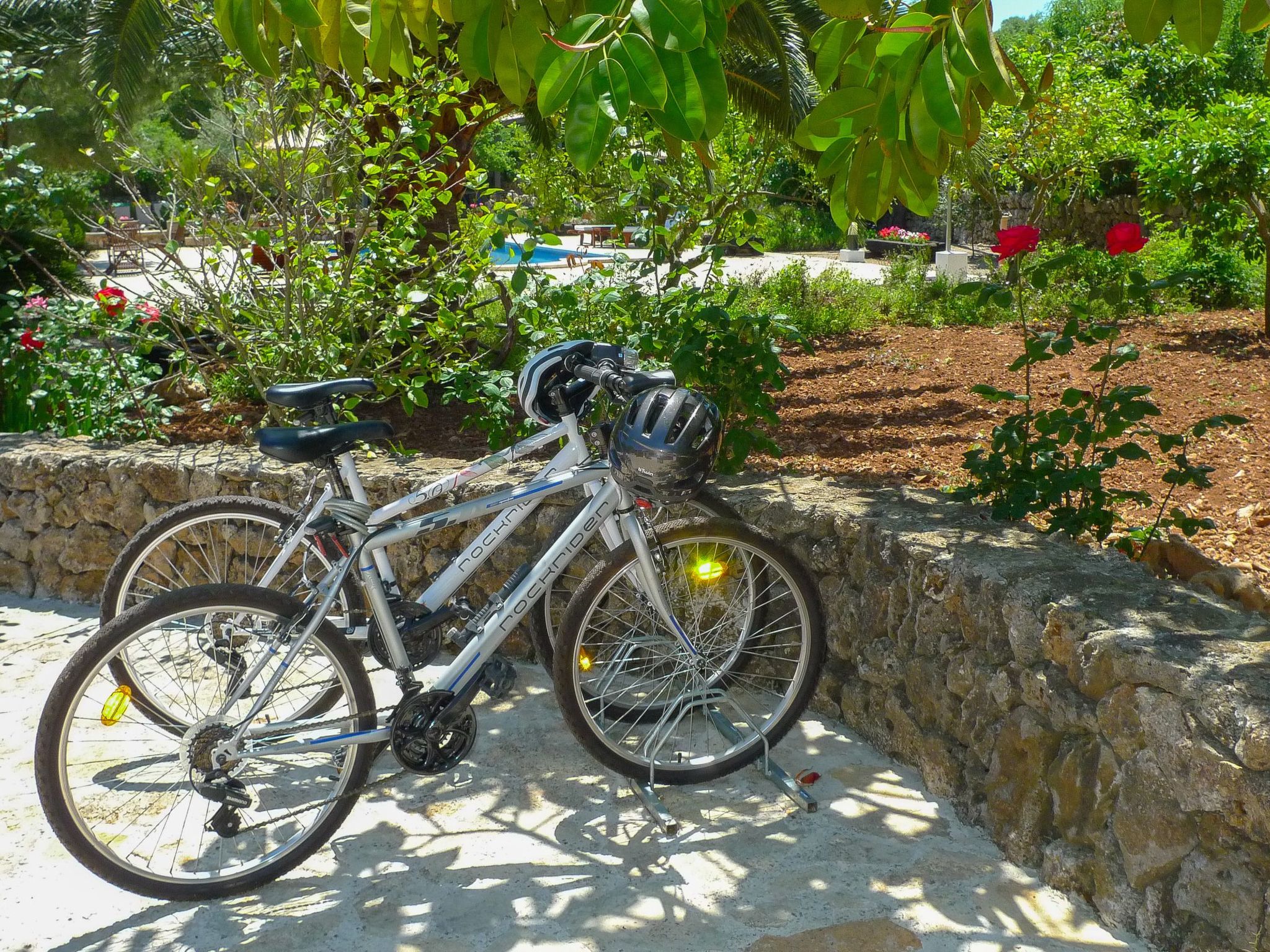 Mulet Llubi-Image-tags.info