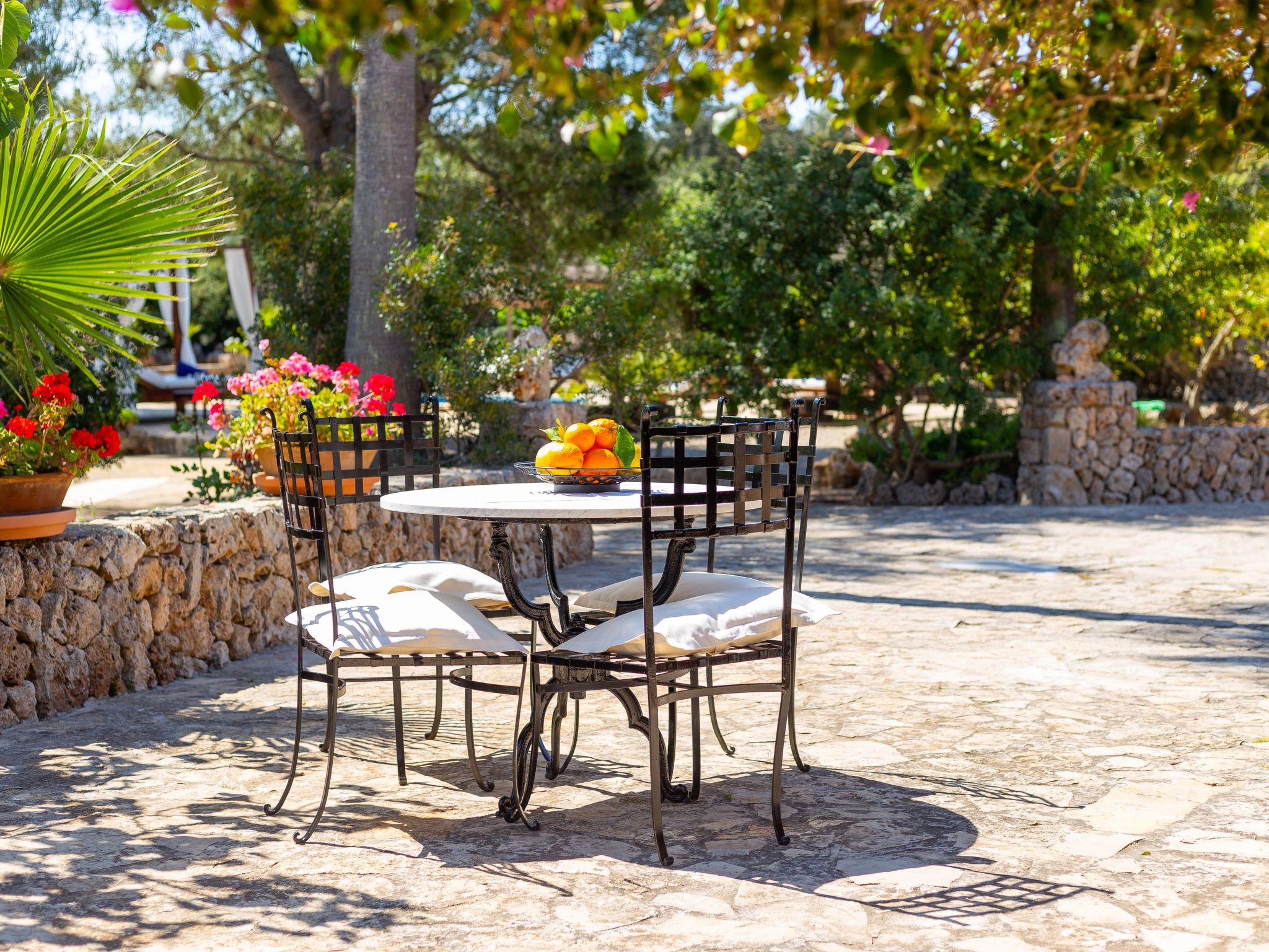 Mulet Llubi-Image-tags.info