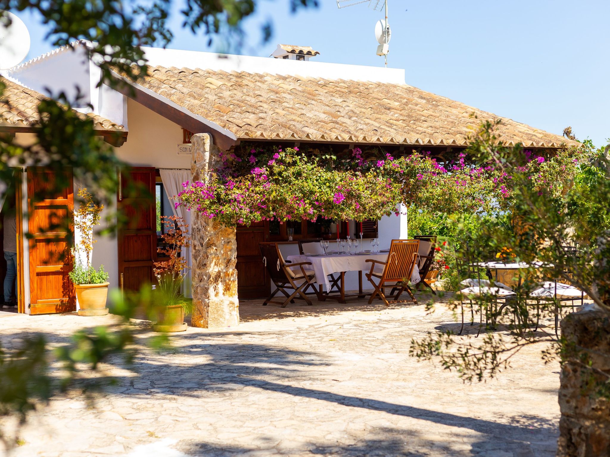 Mulet Llubi-Image-tags.info