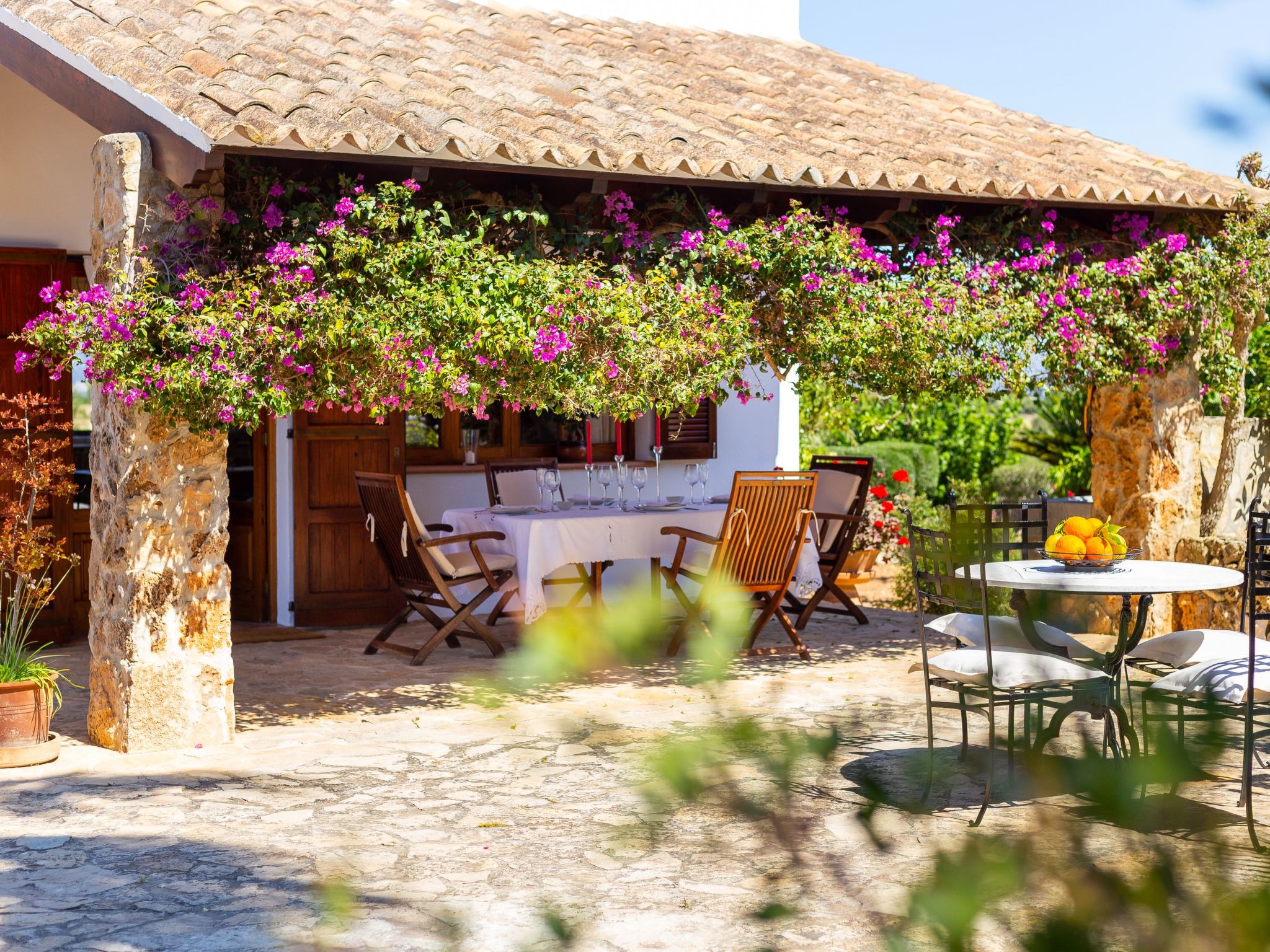 Mulet Llubi-Image-tags.info