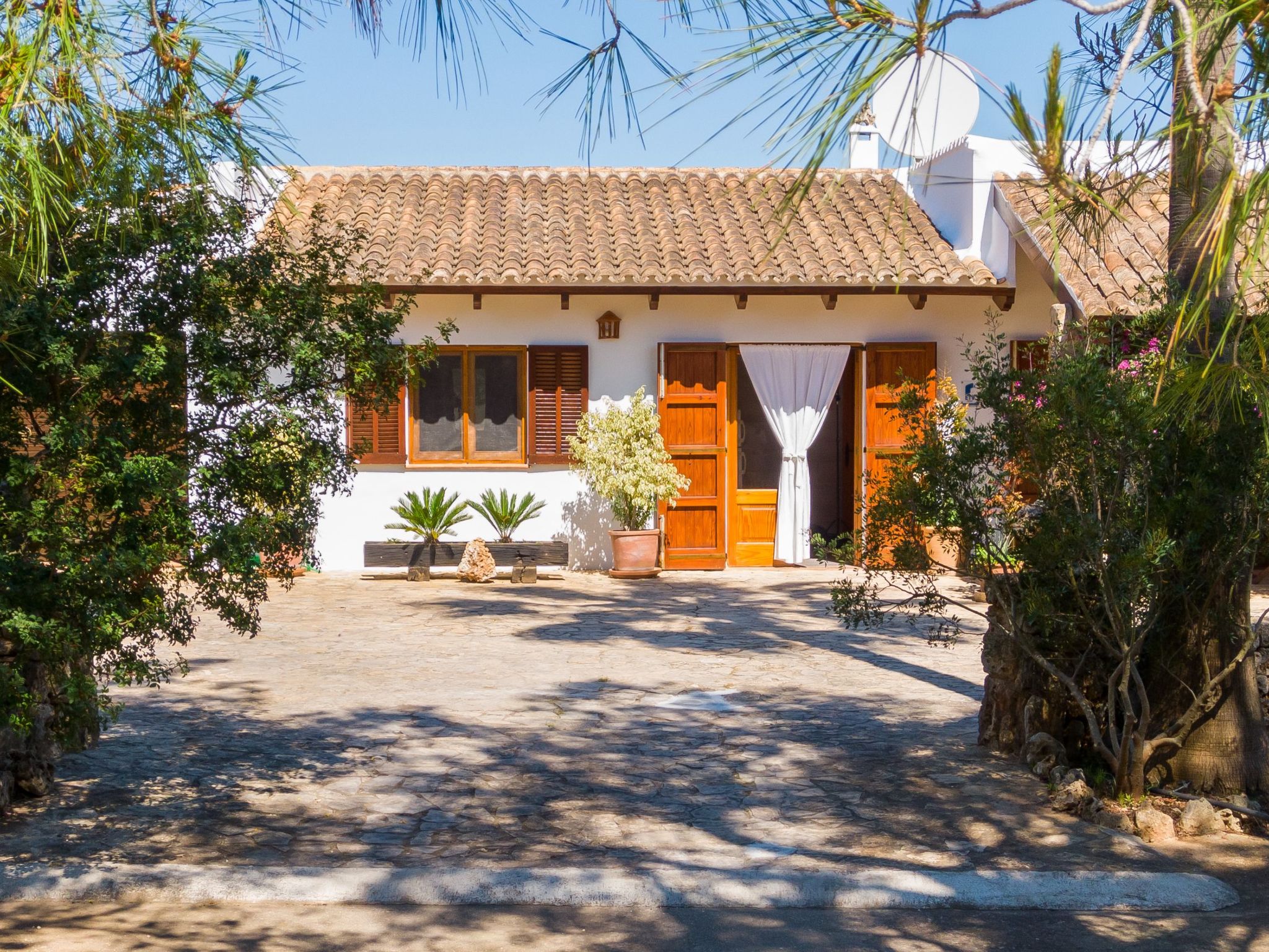 Mulet Llubi-Image-tags.info