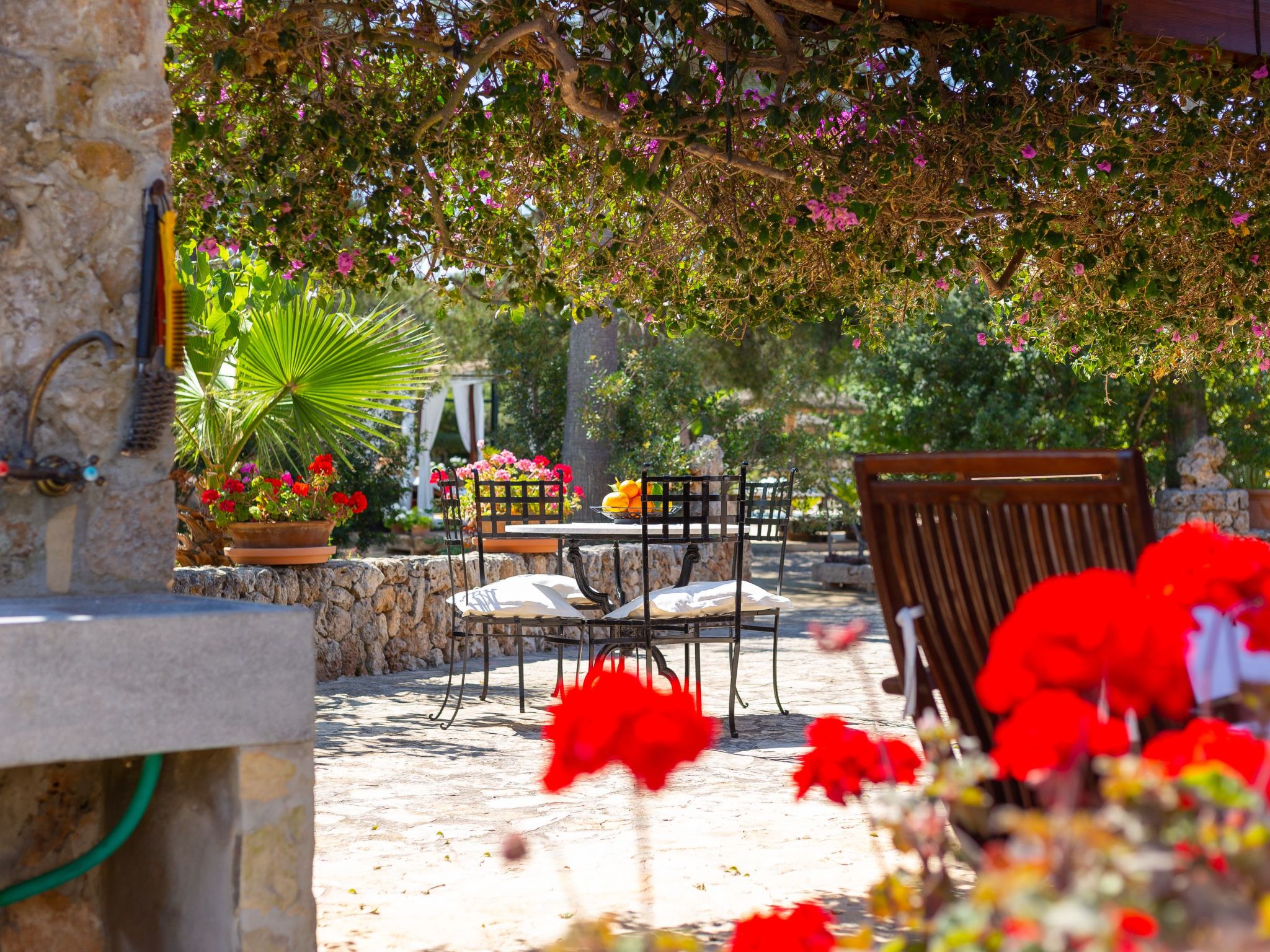 Mulet Llubi-Image-tags.info