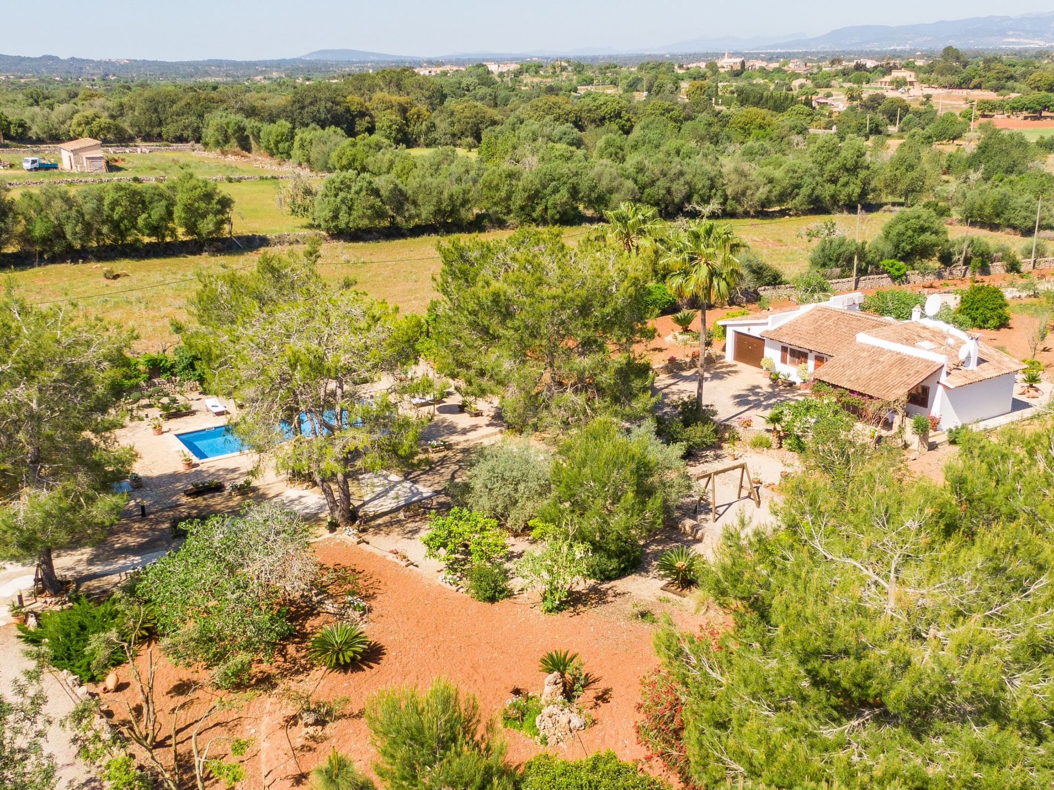 Mulet Llubi-Image-tags.info