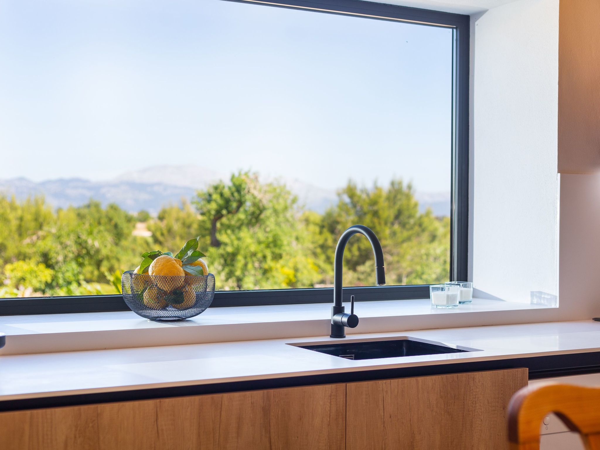 Mulet Llubi-Image-tags.info