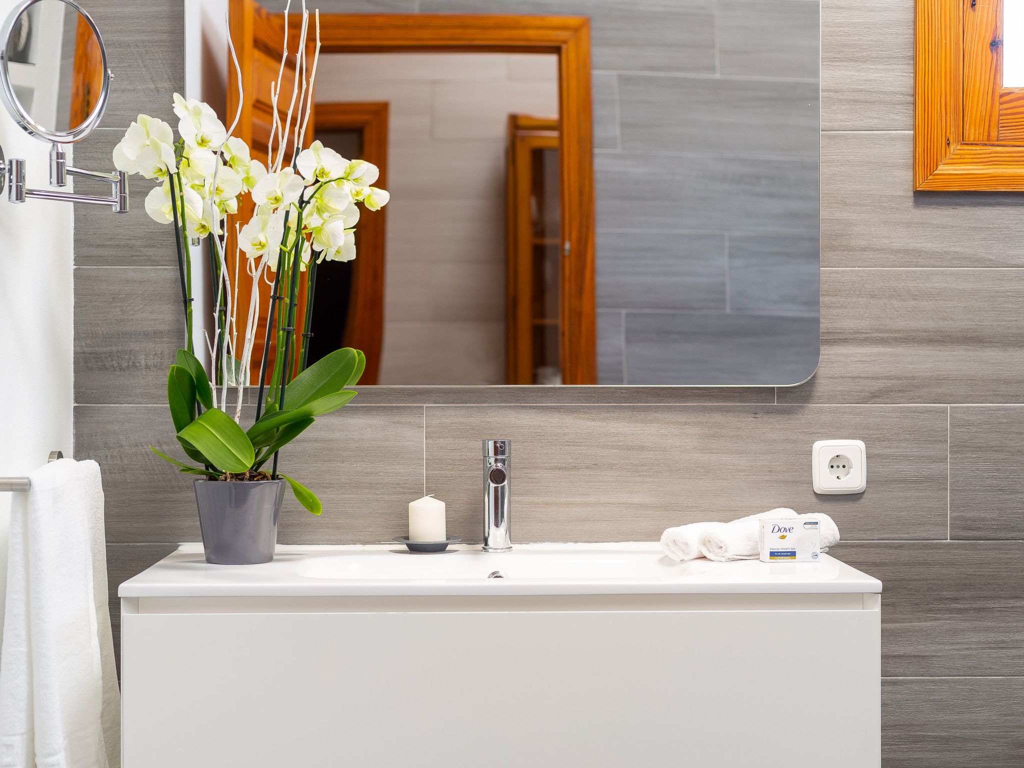 Mulet Llubi-Image-tags.info