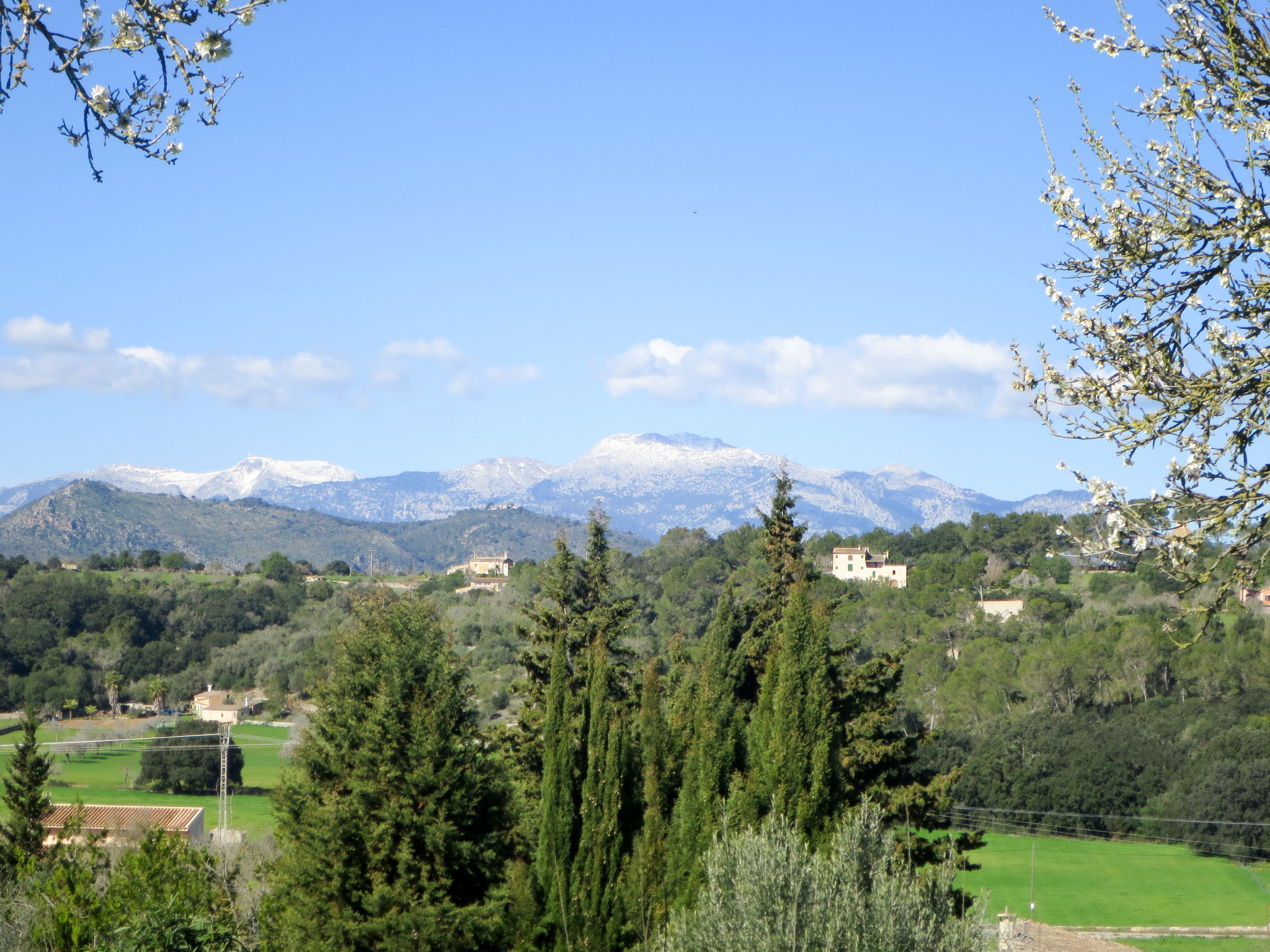 Mulet Llubi-Omgeving