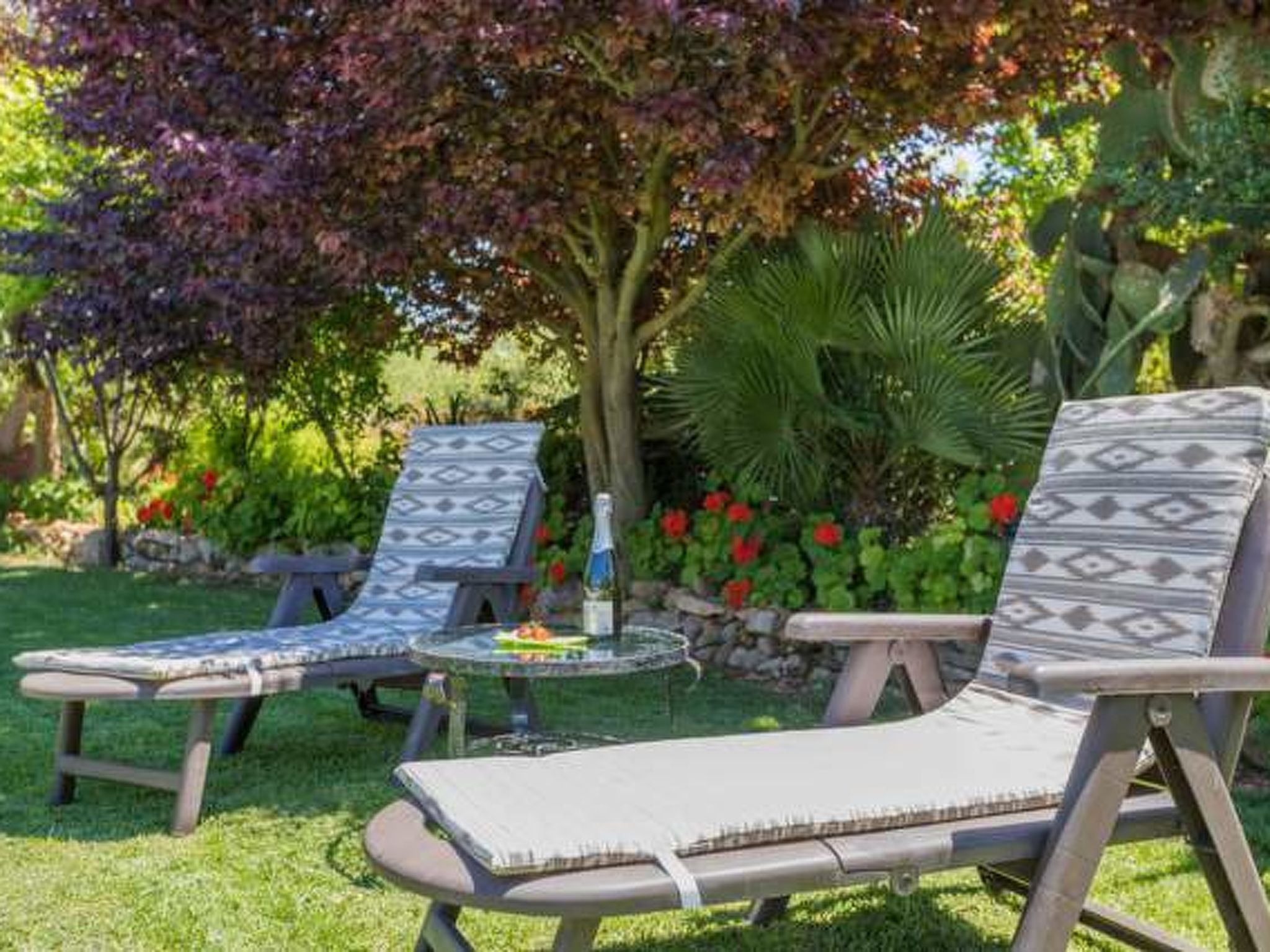 Jardinero - Image 5