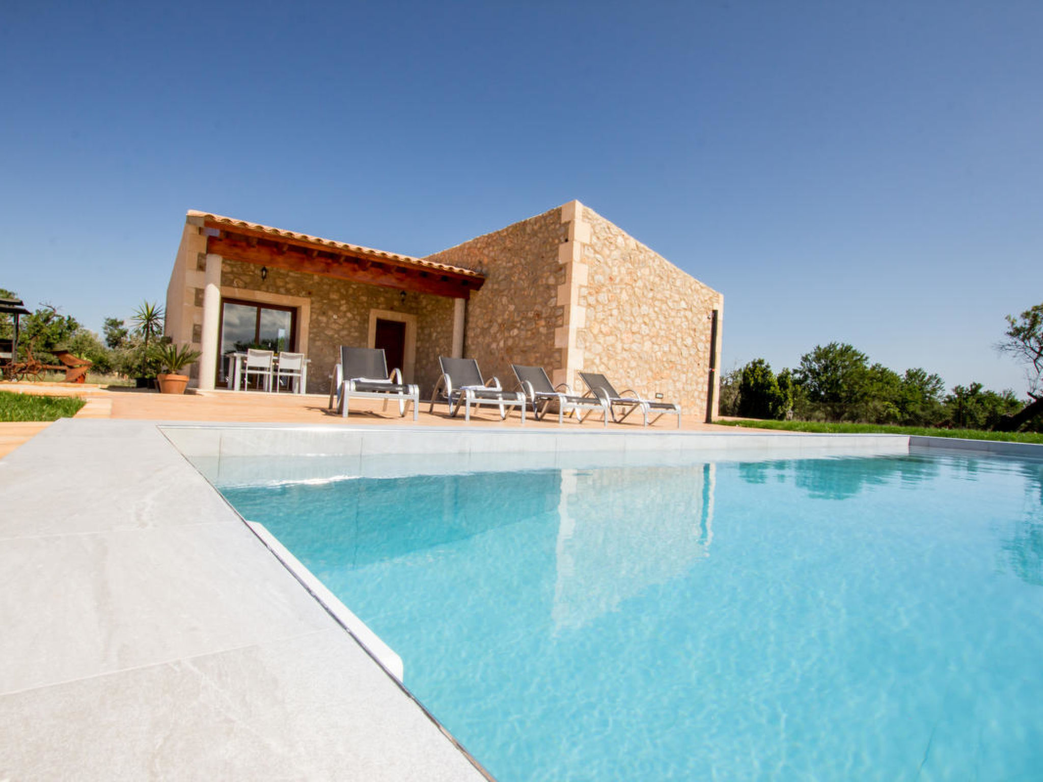 Petitona - Image 5