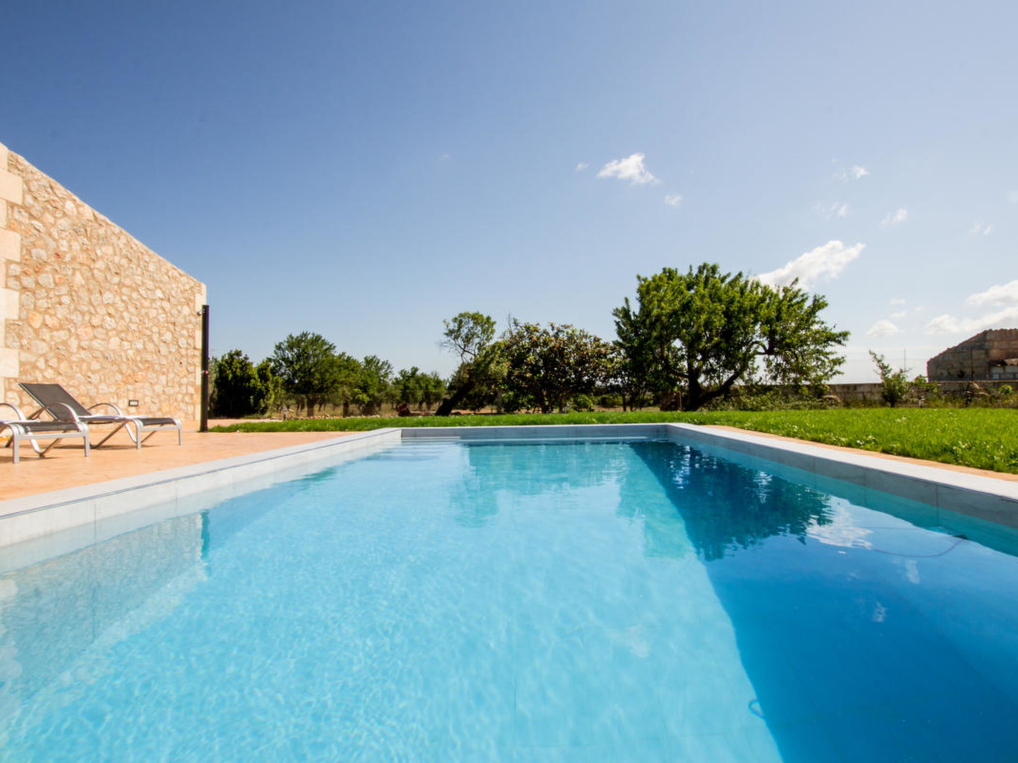 Petitona - Image 4